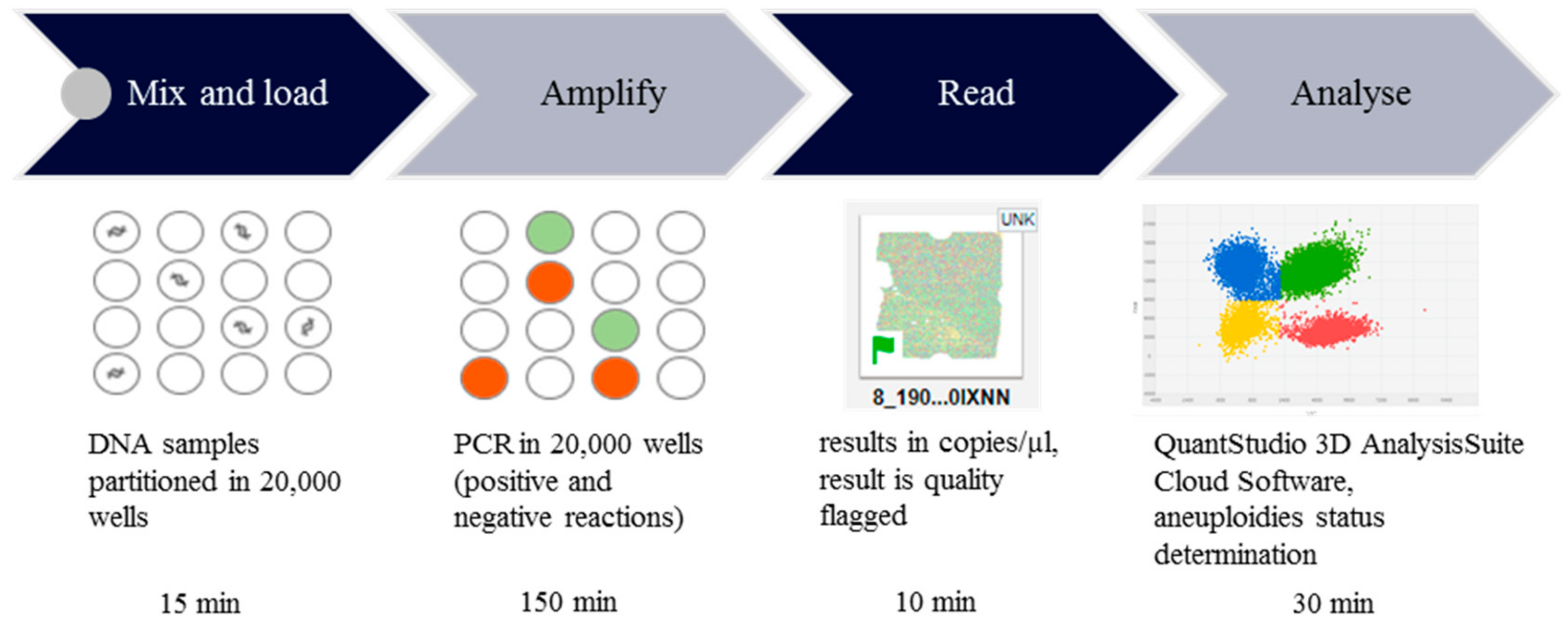 Ijms 20 05486 g001 Ijms 20 05486 g001