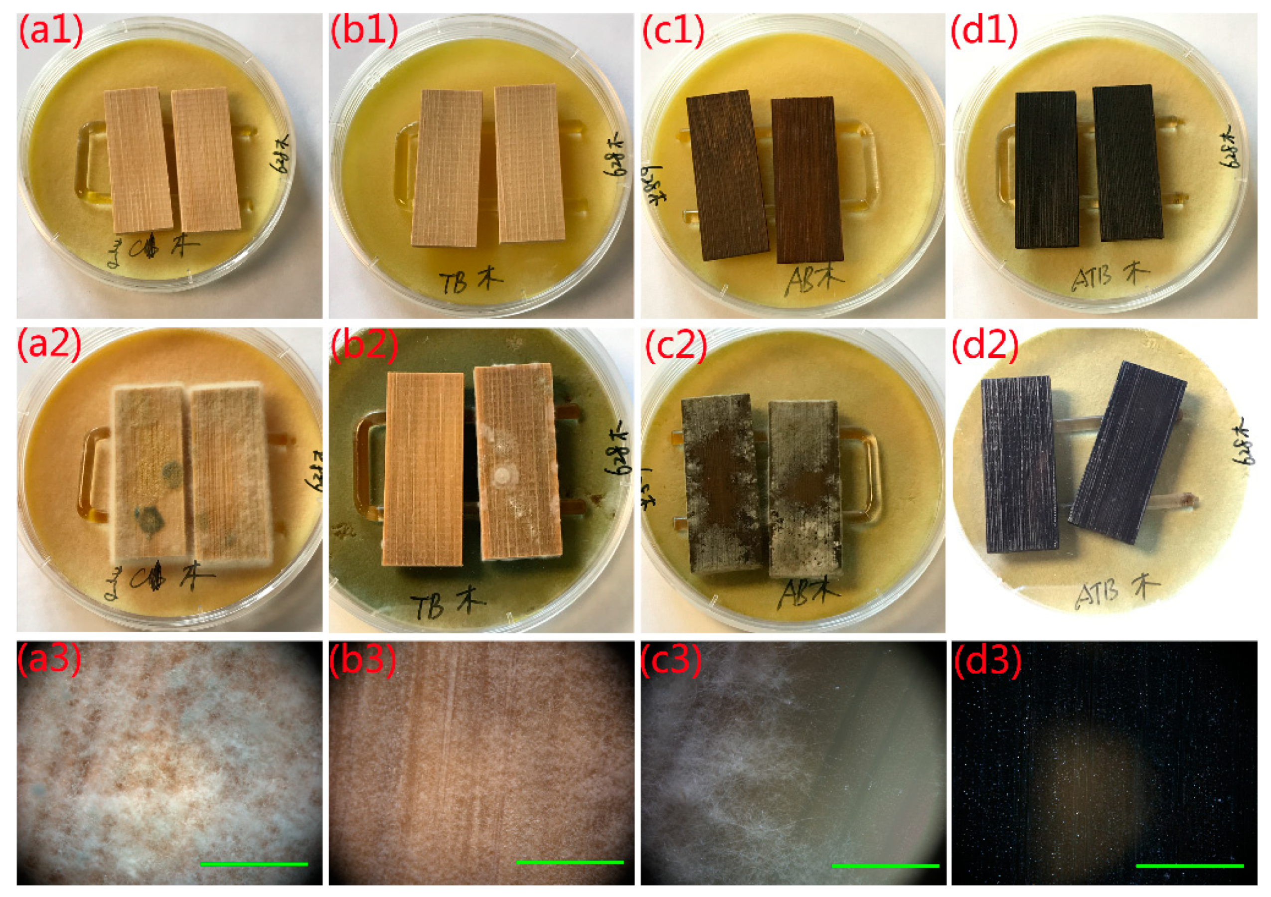 Ijms 20 05497 g006 Ijms 20 05497 g006