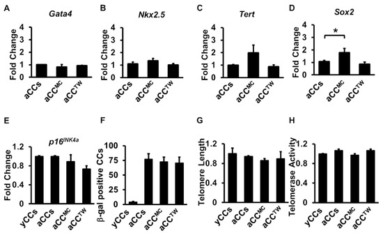 Ijms Free Full Text Human Wharton S Jelly Derived Mesenchymal Stem Cells Minimally Improve The Growth Kinetics And Cardiomyocyte Differentiation Of Aged Murine Cardiac C Kit Cells In In Vitro Without Rejuvenating Effect