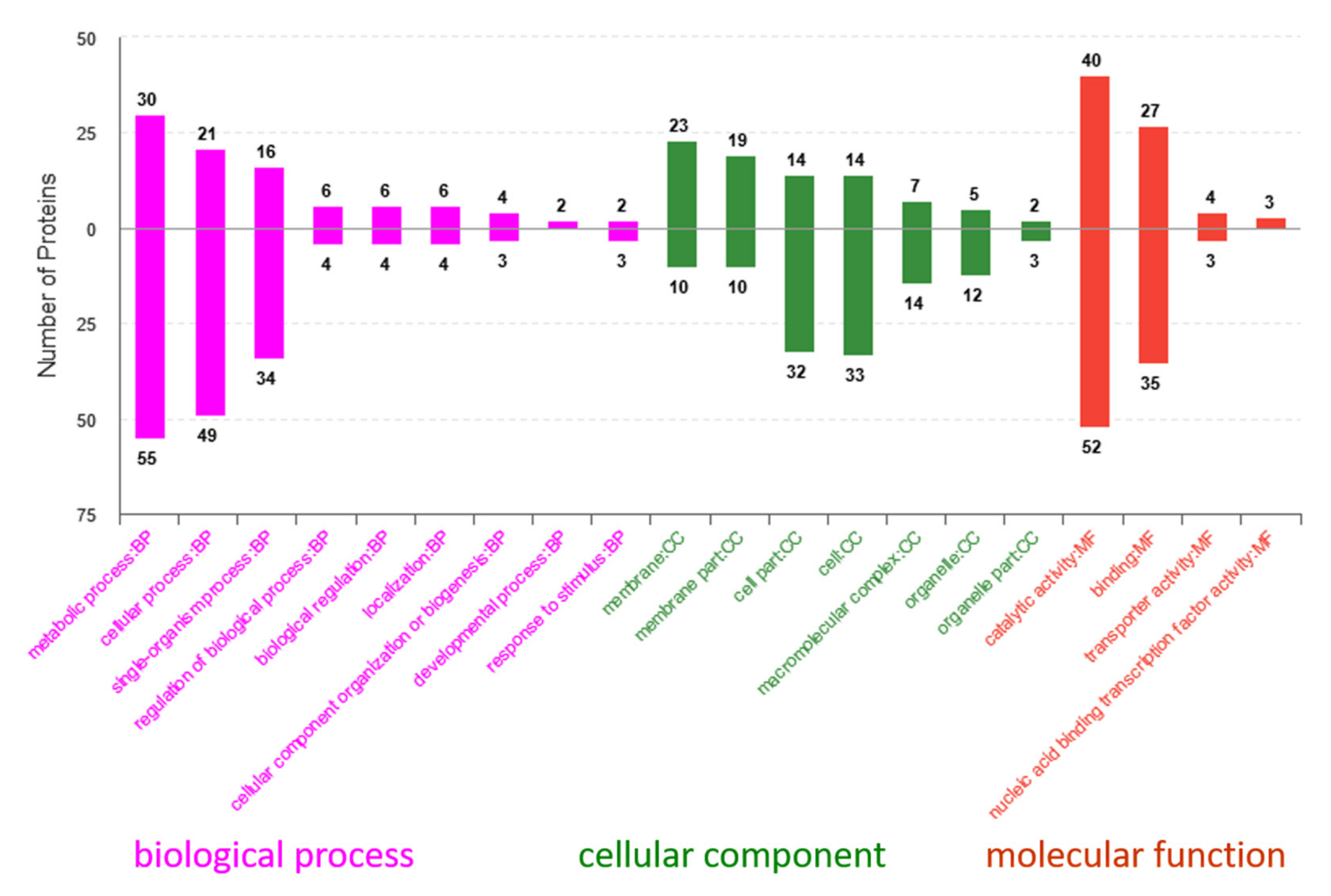 Ijms 20 05540 g005 Ijms 20 05540 g005