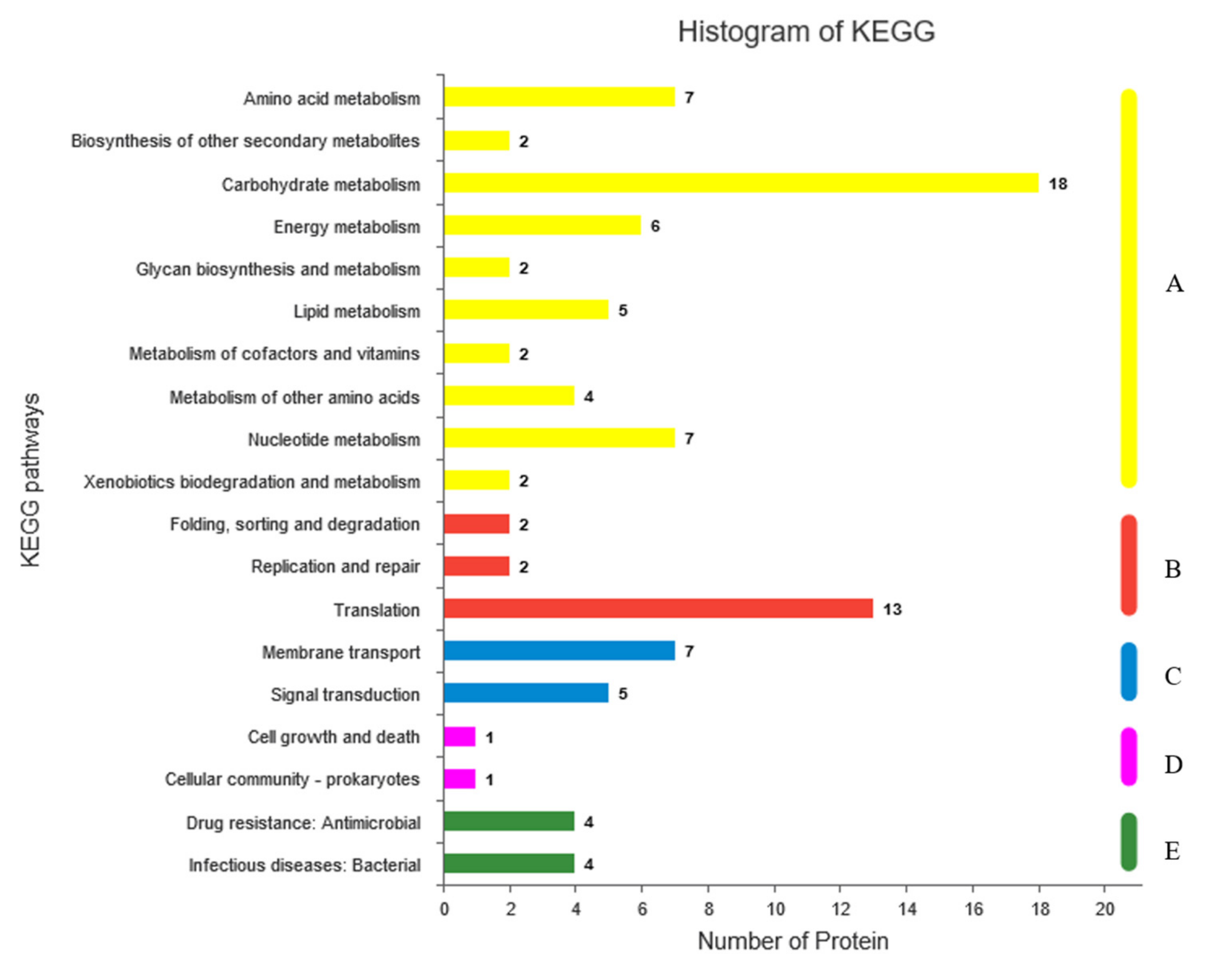 Ijms 20 05540 g006 Ijms 20 05540 g006