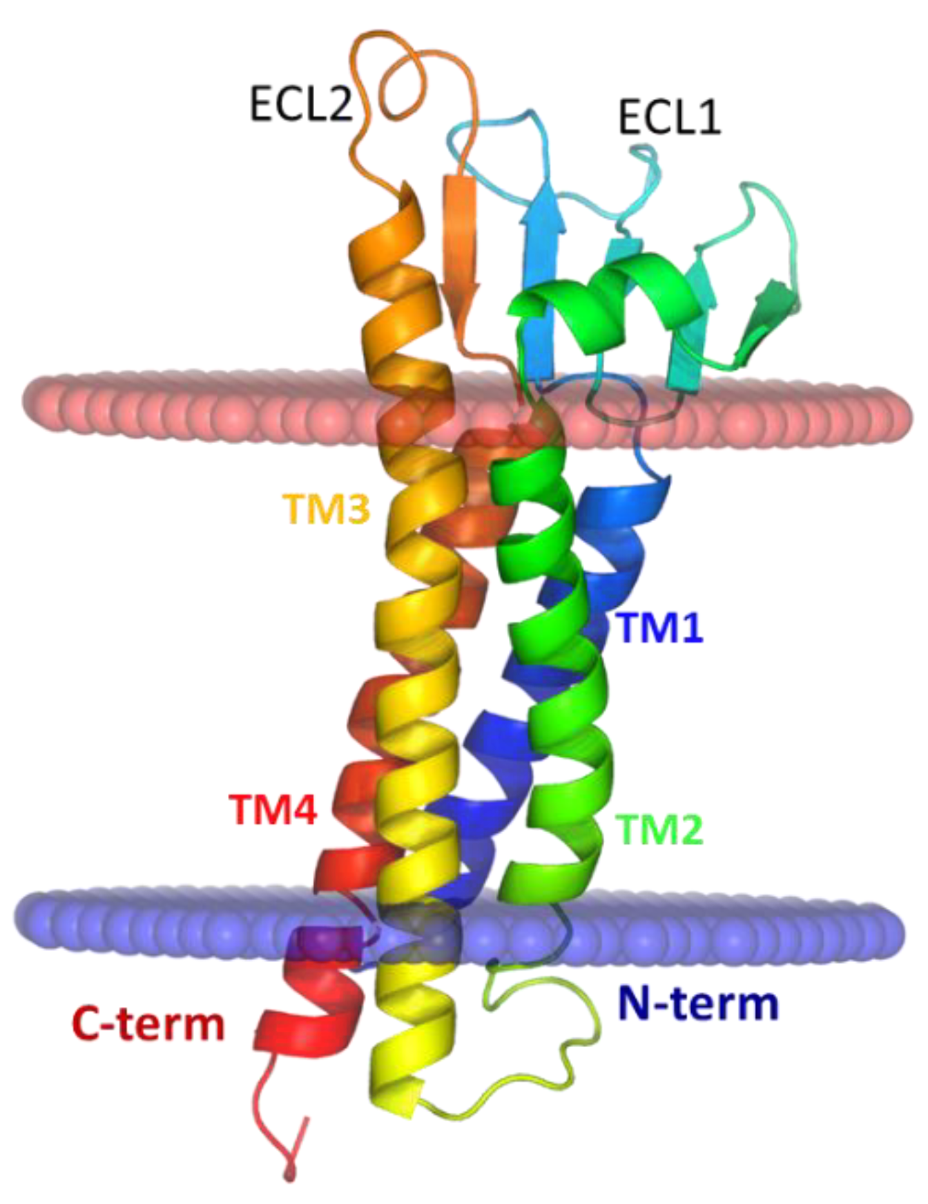 Ijms 20 05583 g002 Ijms 20 05583 g002