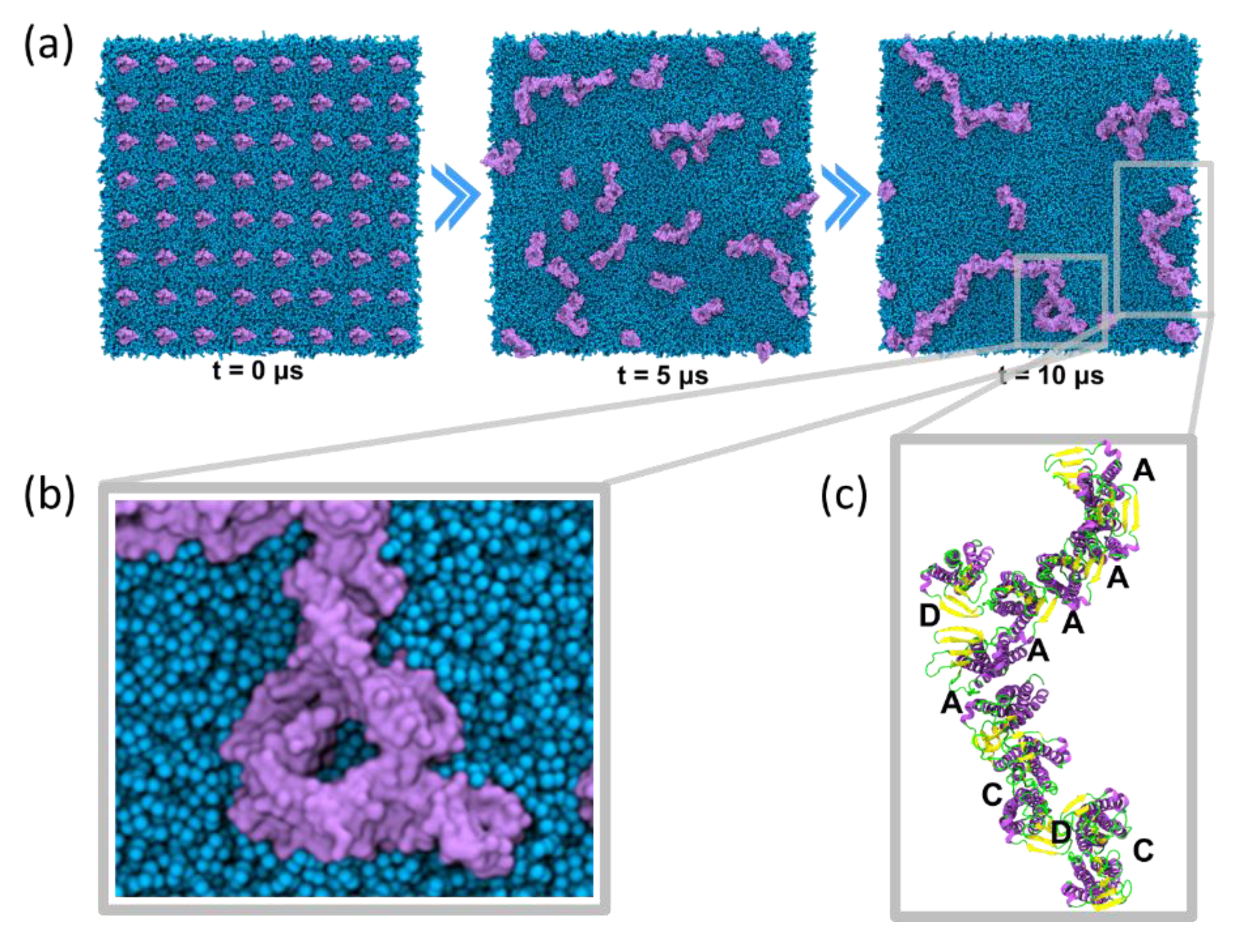 Ijms 20 05583 g006 Ijms 20 05583 g006