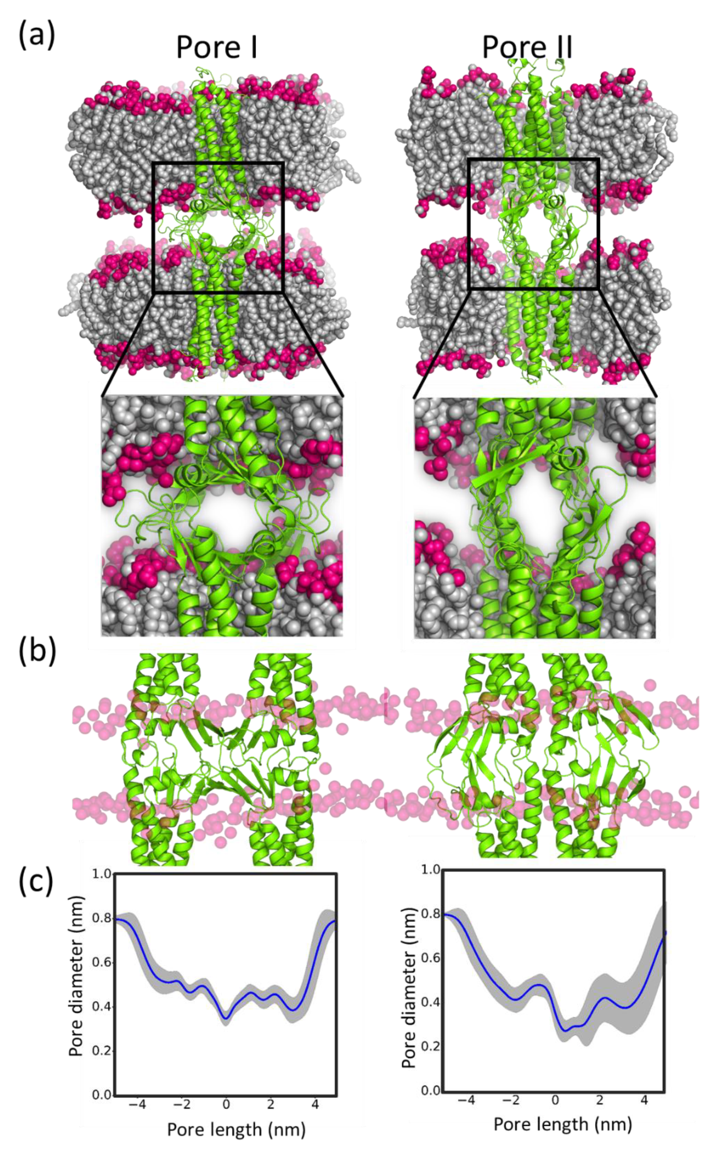 Ijms 20 05583 g011 Ijms 20 05583 g011