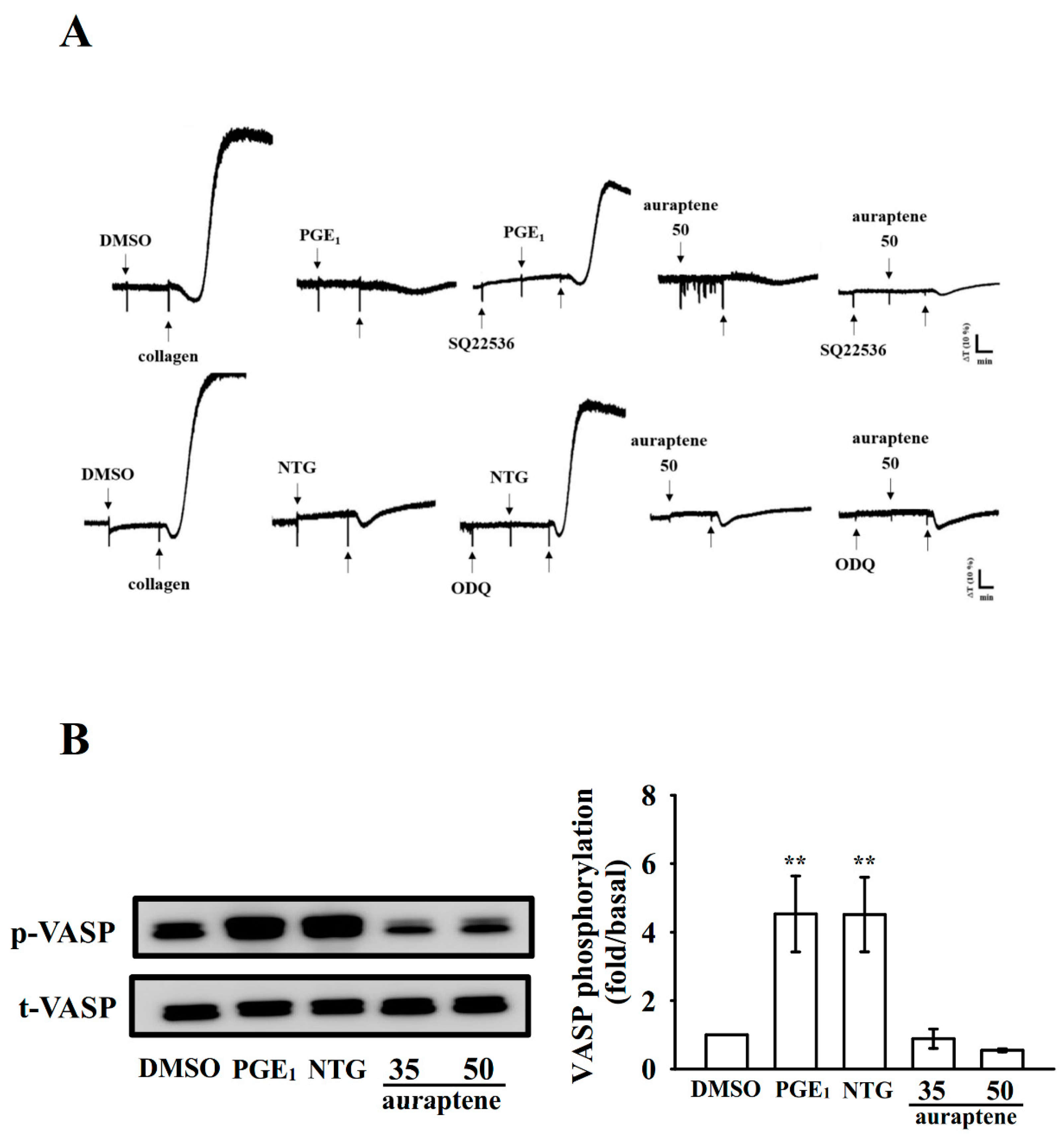 Ijms 20 05585 g006 Ijms 20 05585 g006