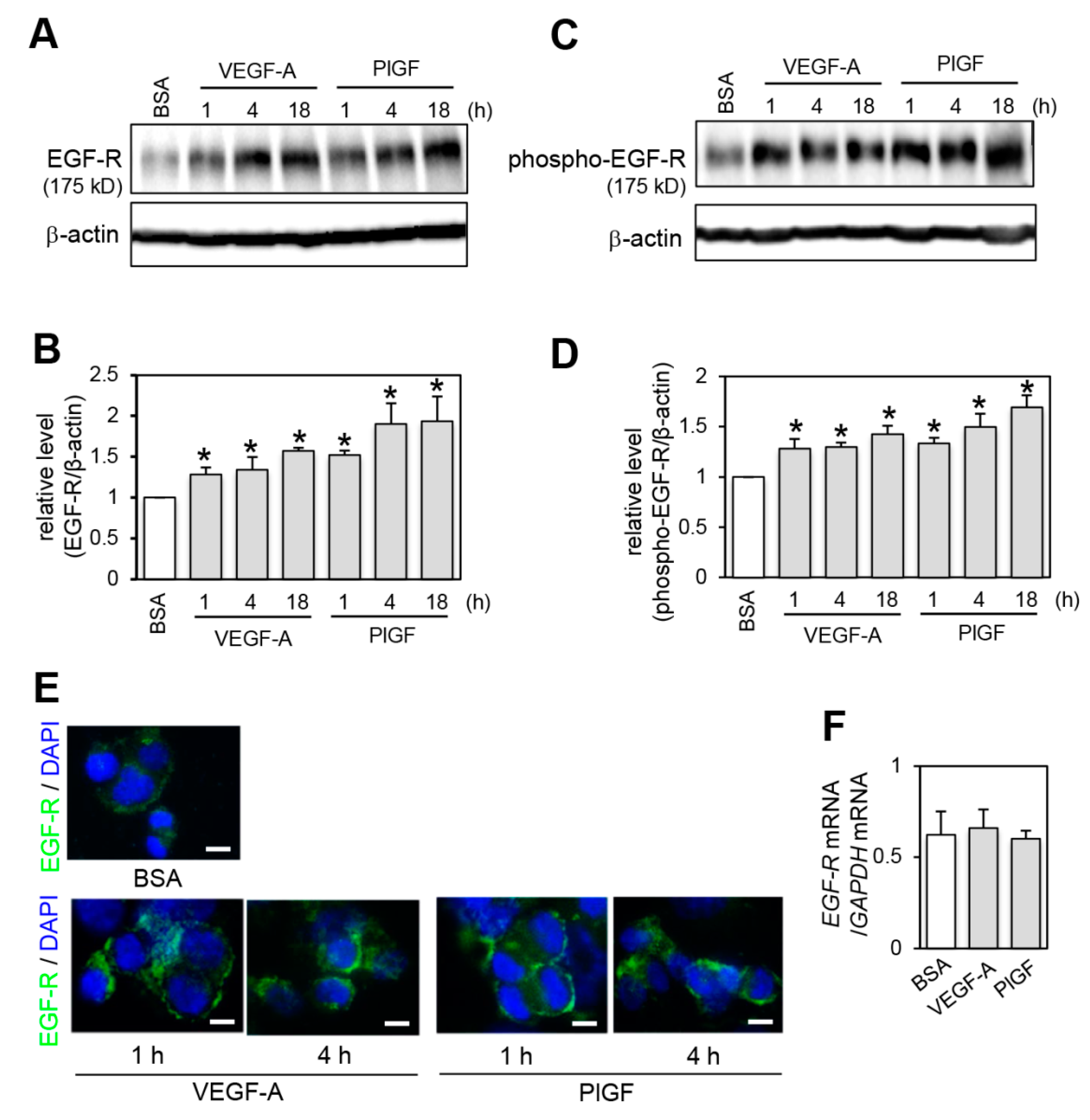 Ijms 20 05608 g002 Ijms 20 05608 g002
