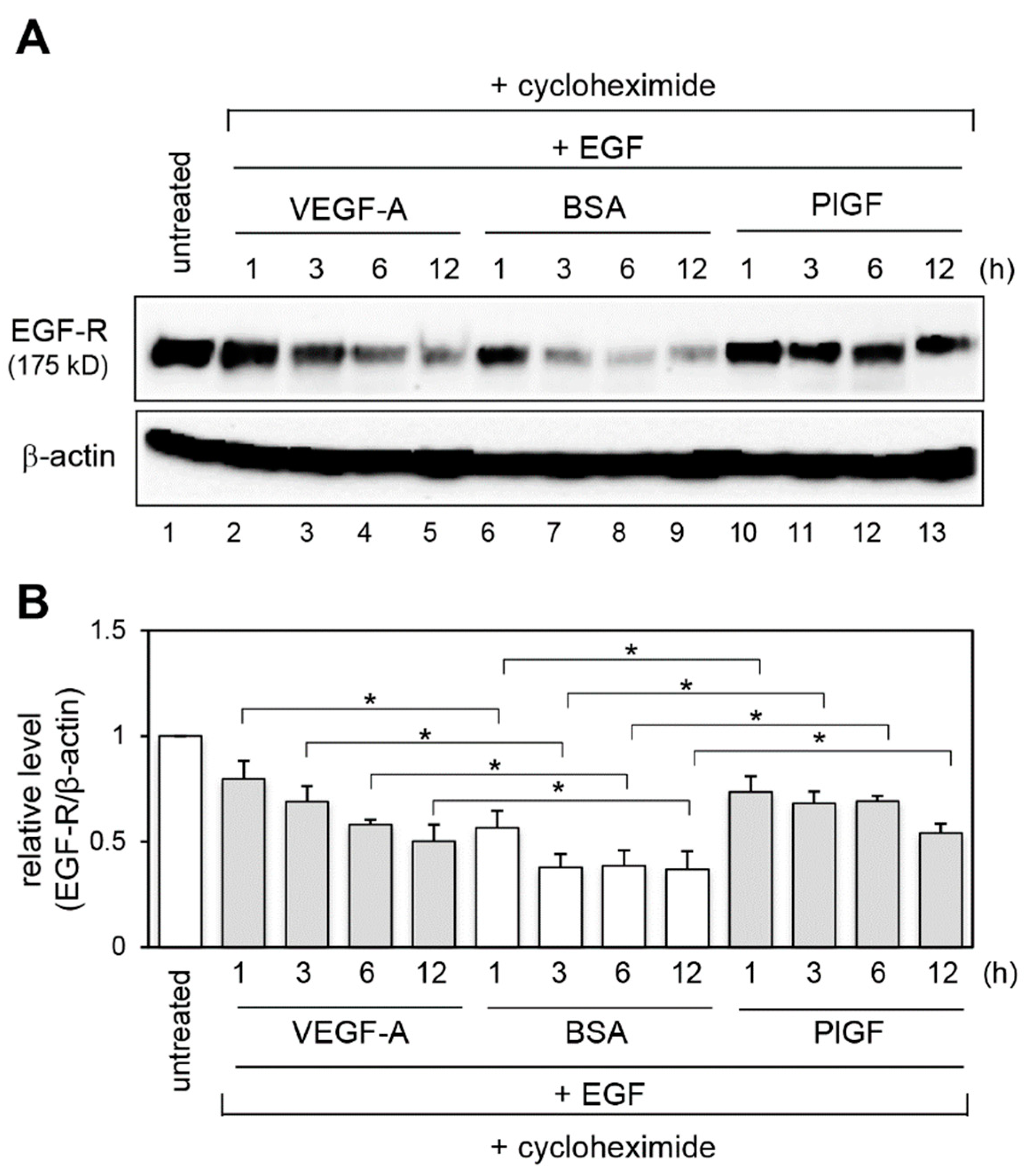 Ijms 20 05608 g003 Ijms 20 05608 g003