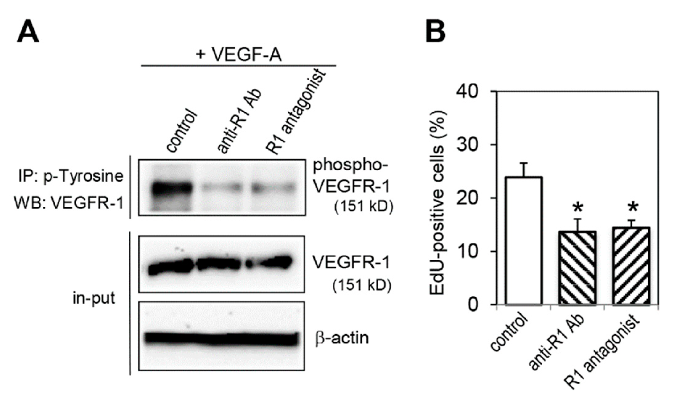 Ijms 20 05608 g005 Ijms 20 05608 g005