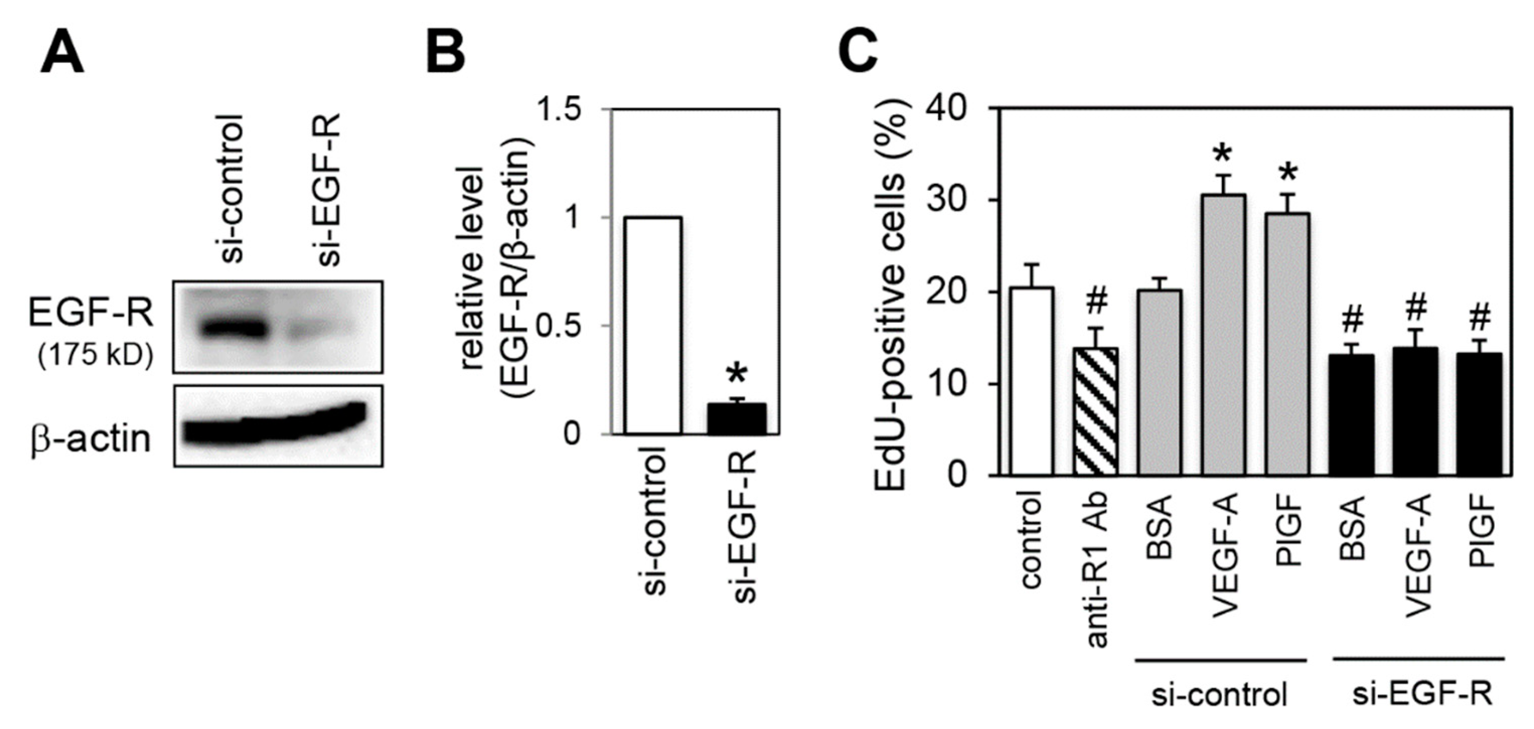 Ijms 20 05608 g007 Ijms 20 05608 g007
