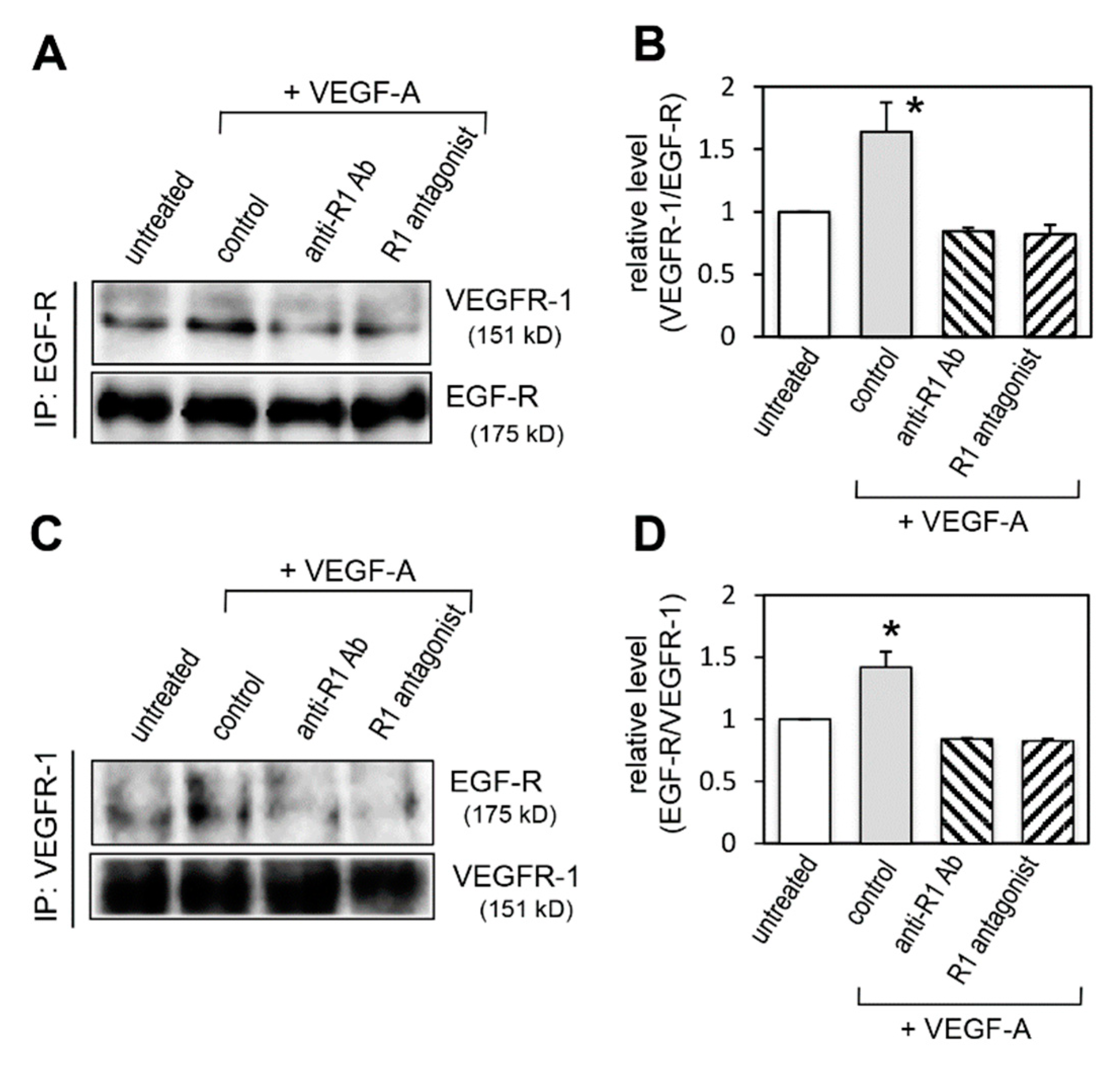 Ijms 20 05608 g009 Ijms 20 05608 g009