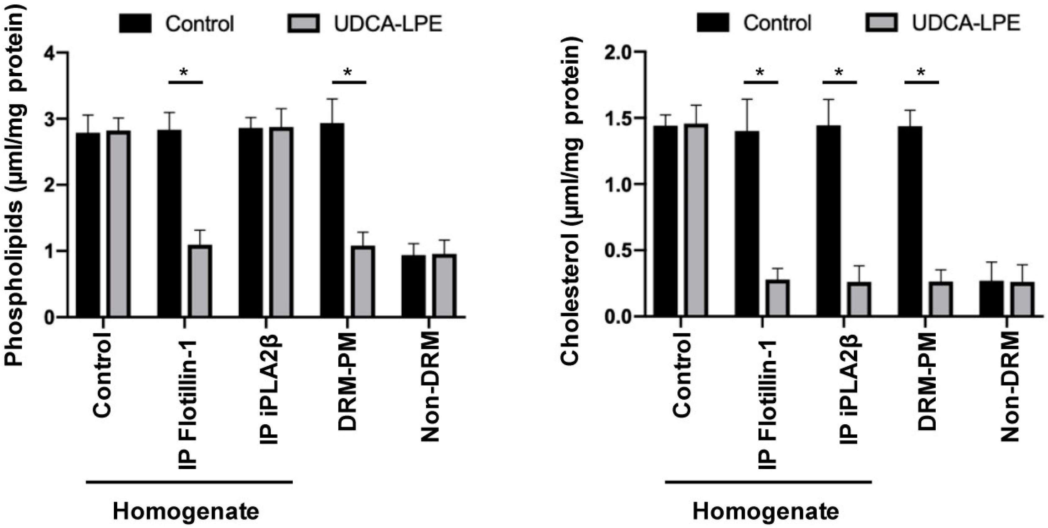 Ijms 20 05631 g001 Ijms 20 05631 g001