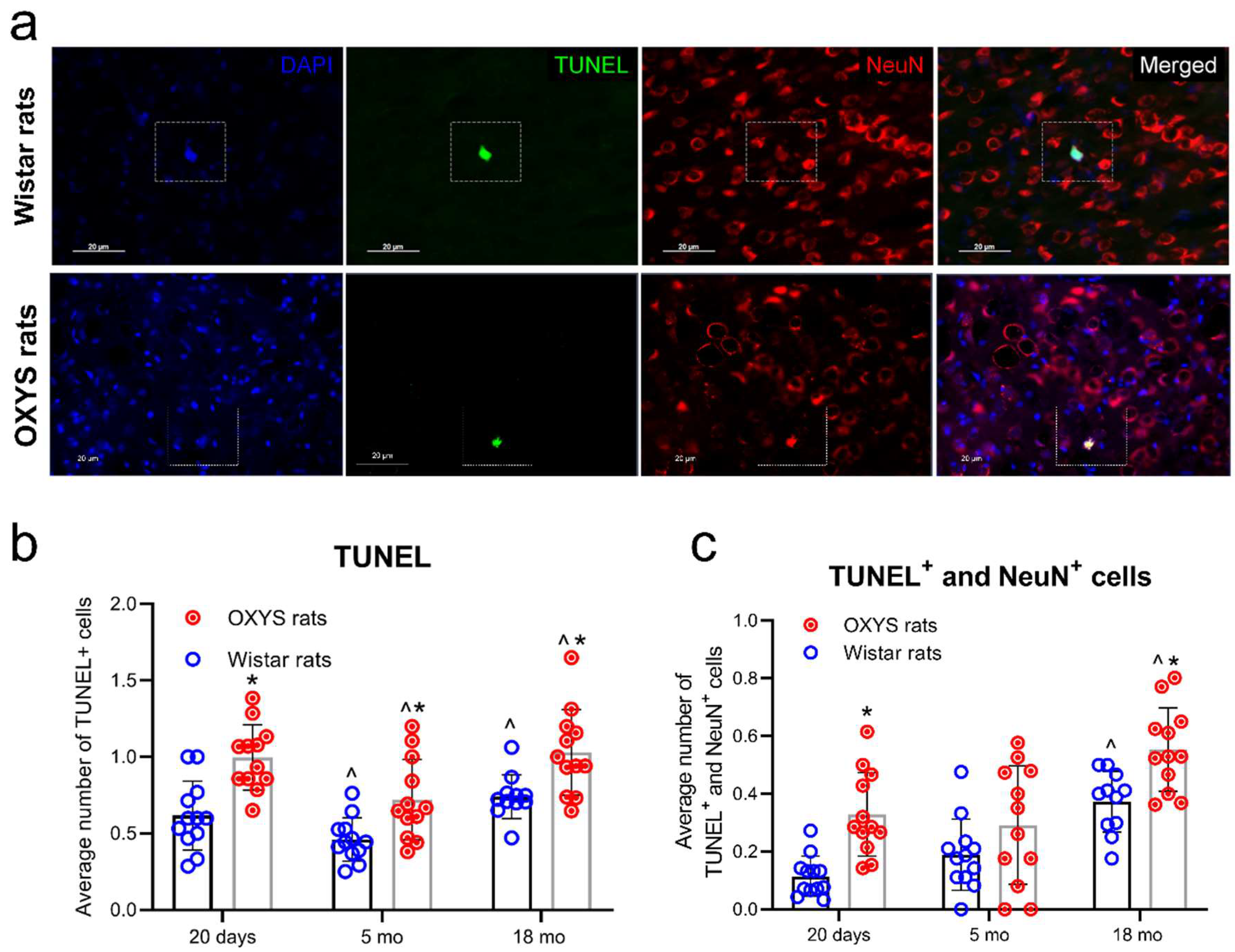 Ijms 20 05632 g001 Ijms 20 05632 g001