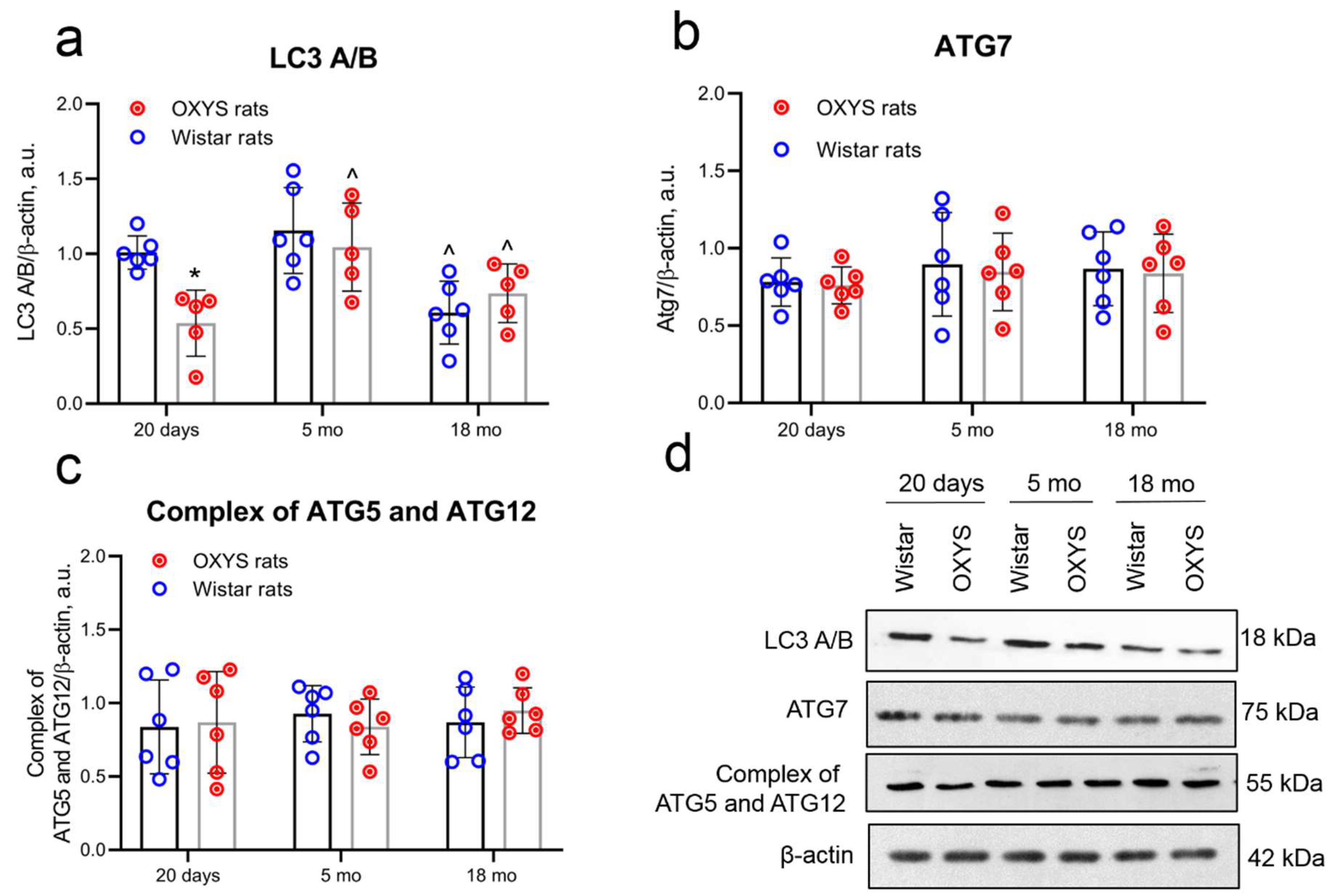 Ijms 20 05632 g002 Ijms 20 05632 g002