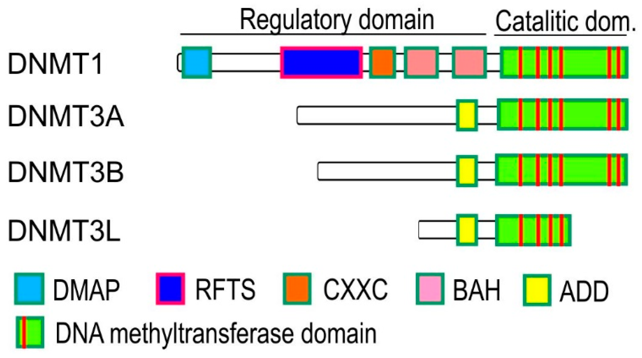 Ijms 20 05646 g002 Ijms 20 05646 g002