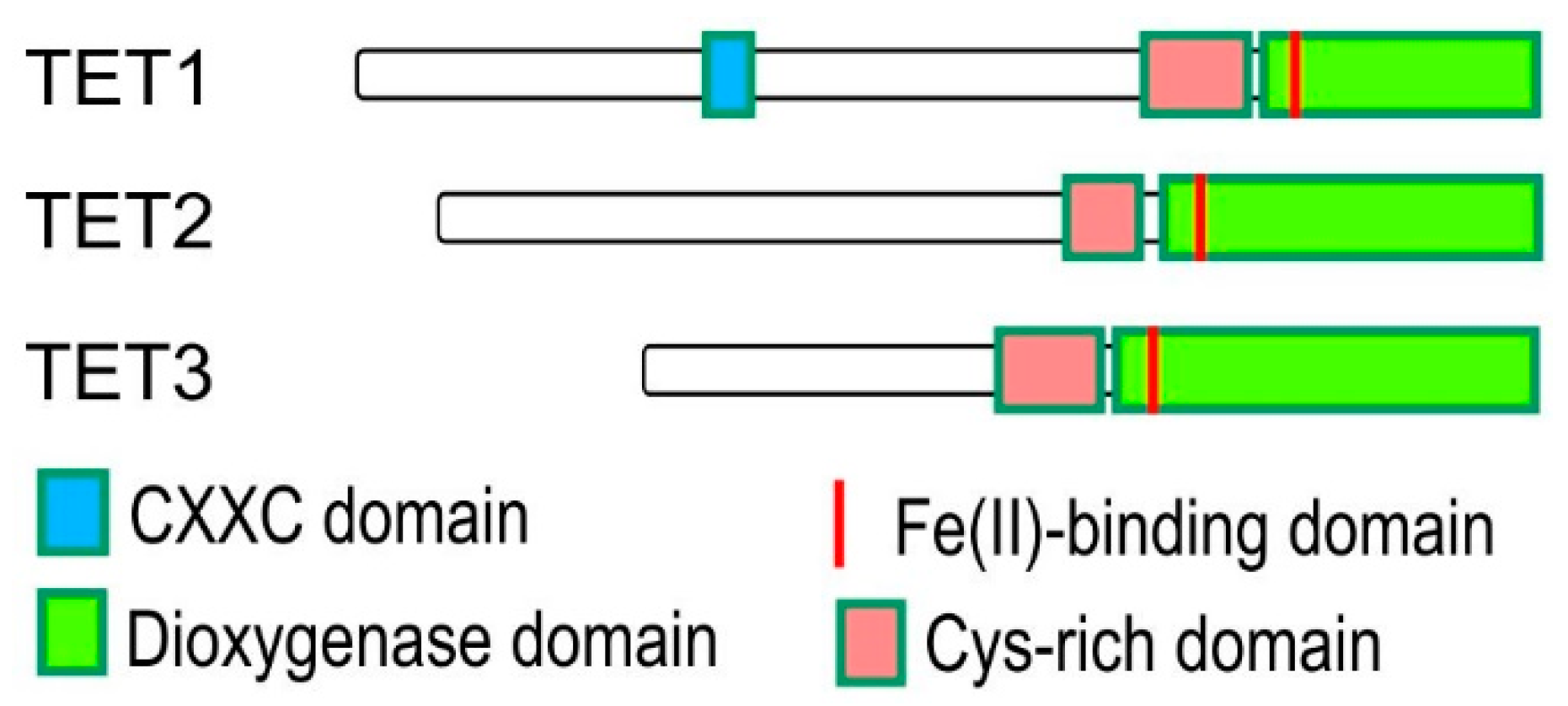 Ijms 20 05646 g004 Ijms 20 05646 g004