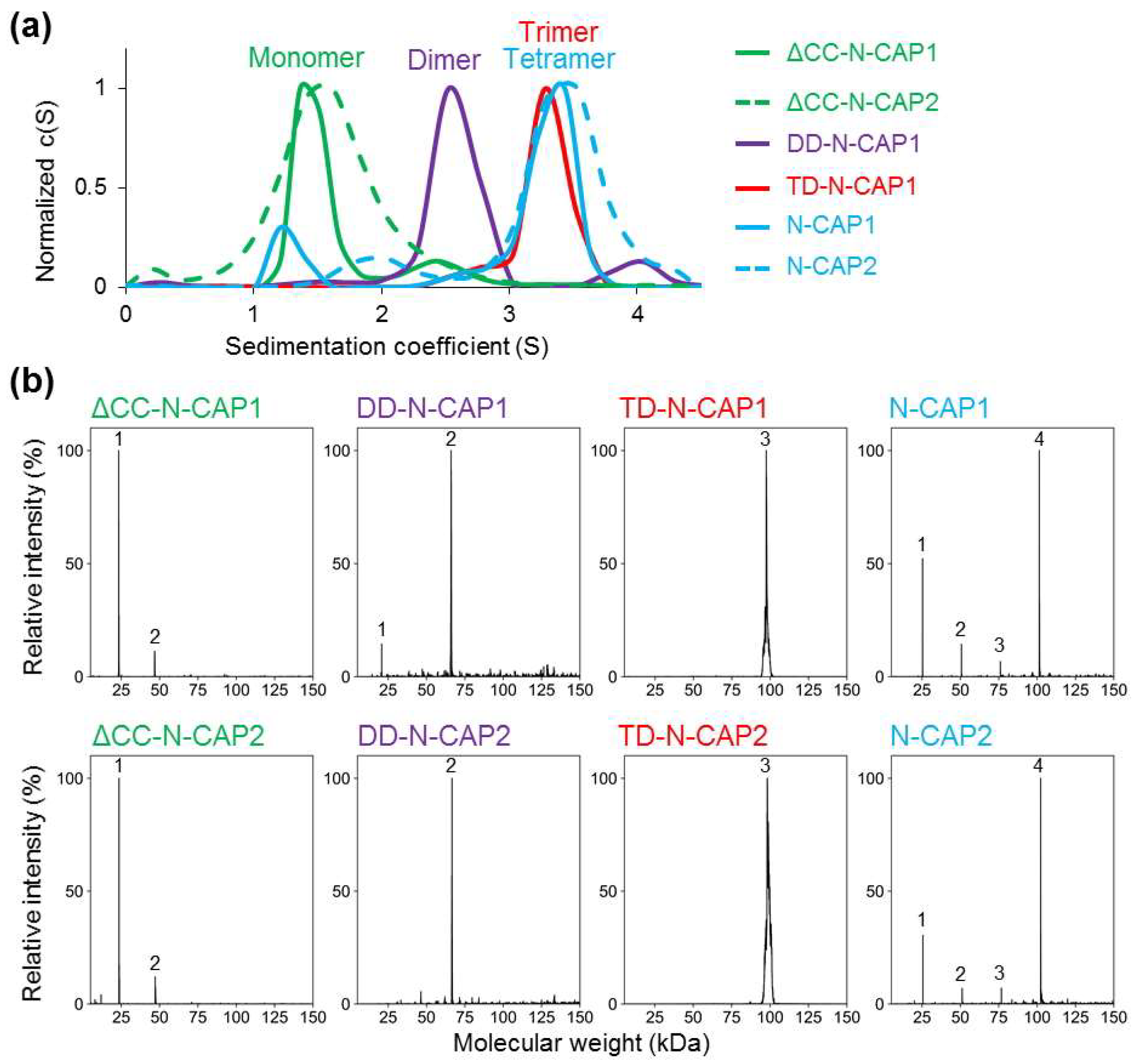 Ijms 20 05647 g002 Ijms 20 05647 g002