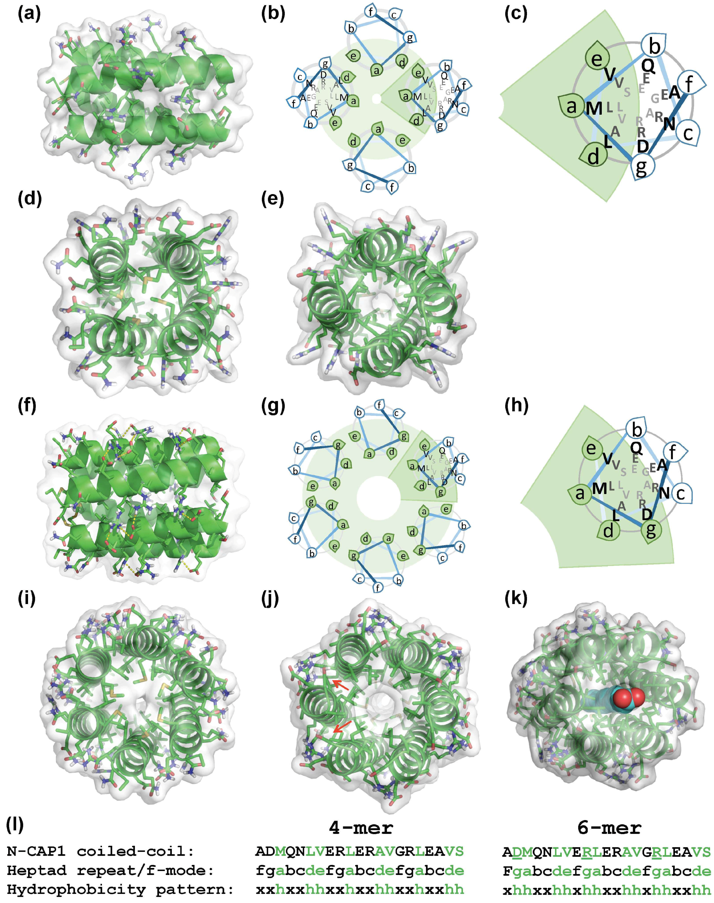 Ijms 20 05647 g003 Ijms 20 05647 g003