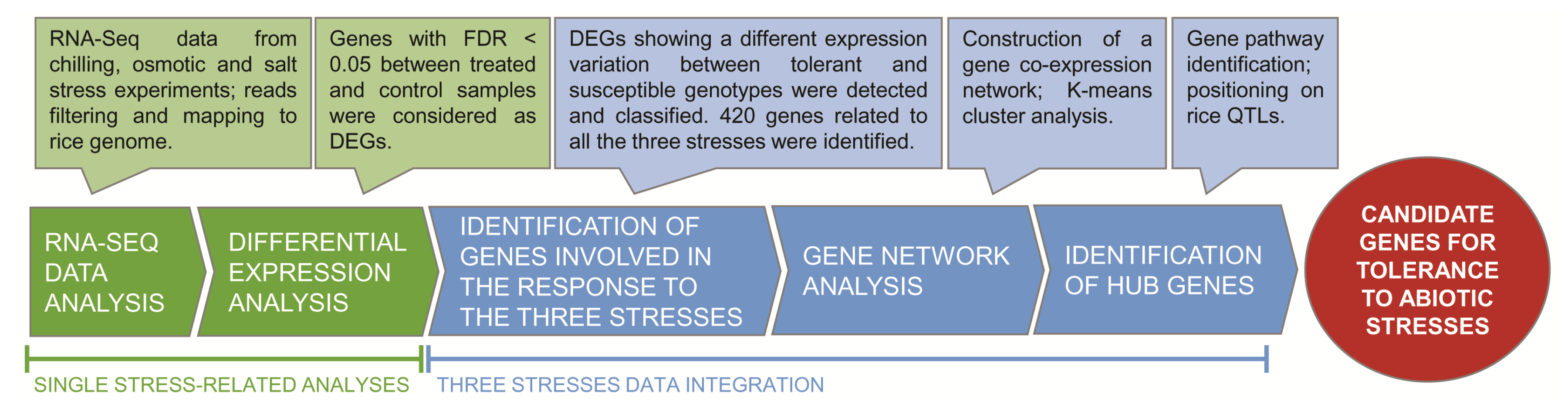 Ijms 20 05662 g001 Ijms 20 05662 g001