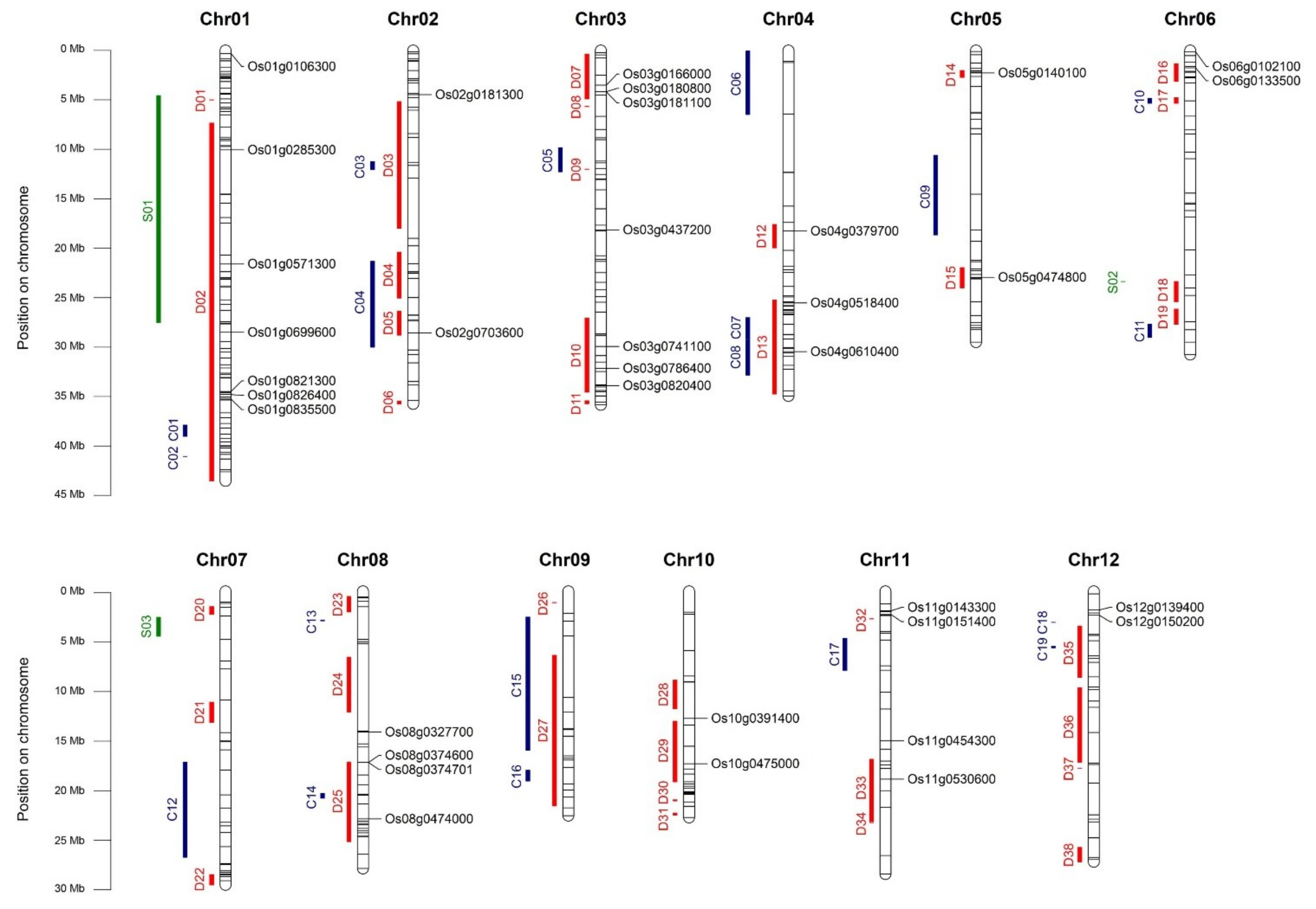 Ijms 20 05662 g005 Ijms 20 05662 g005