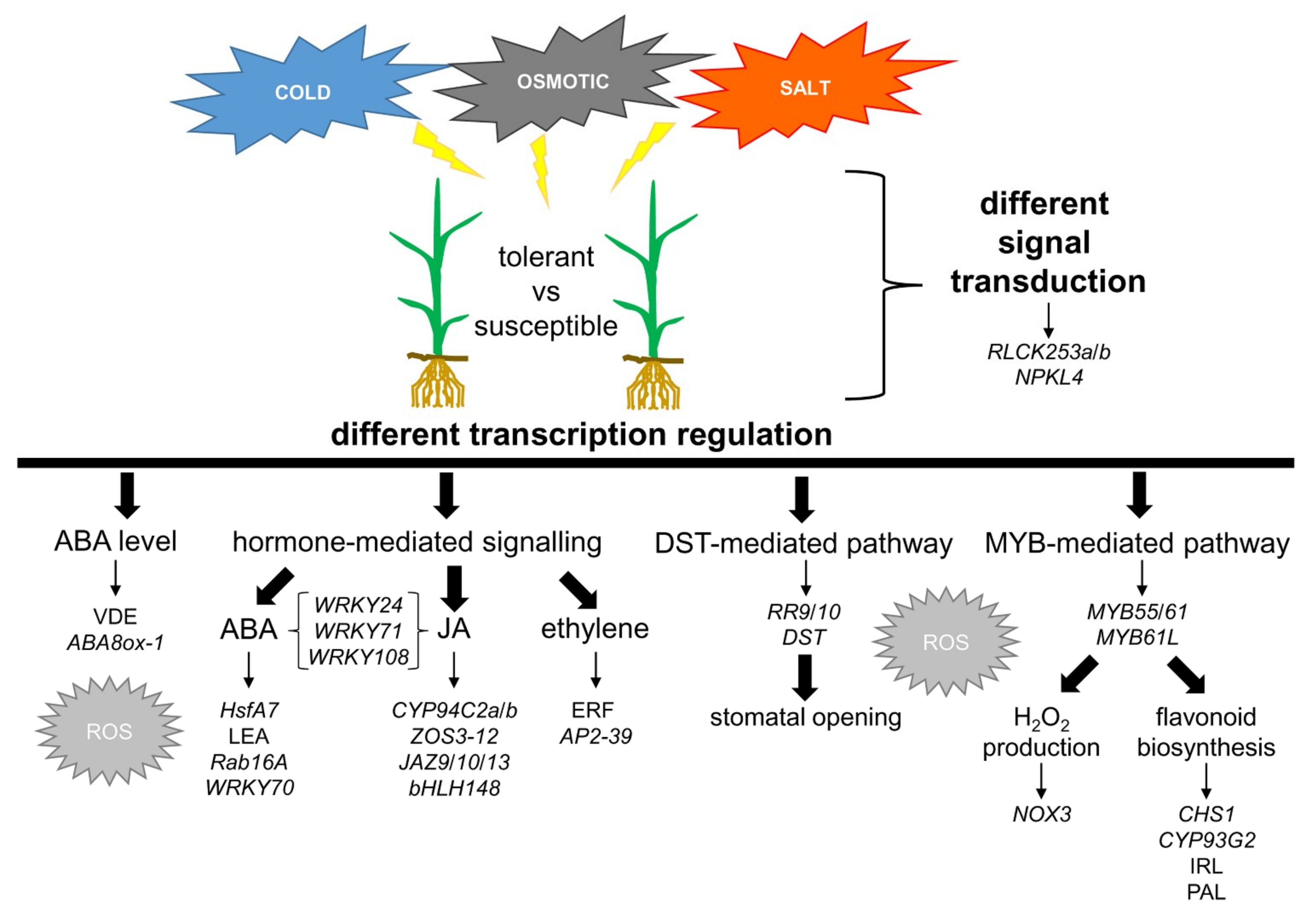 Ijms 20 05662 g006 Ijms 20 05662 g006