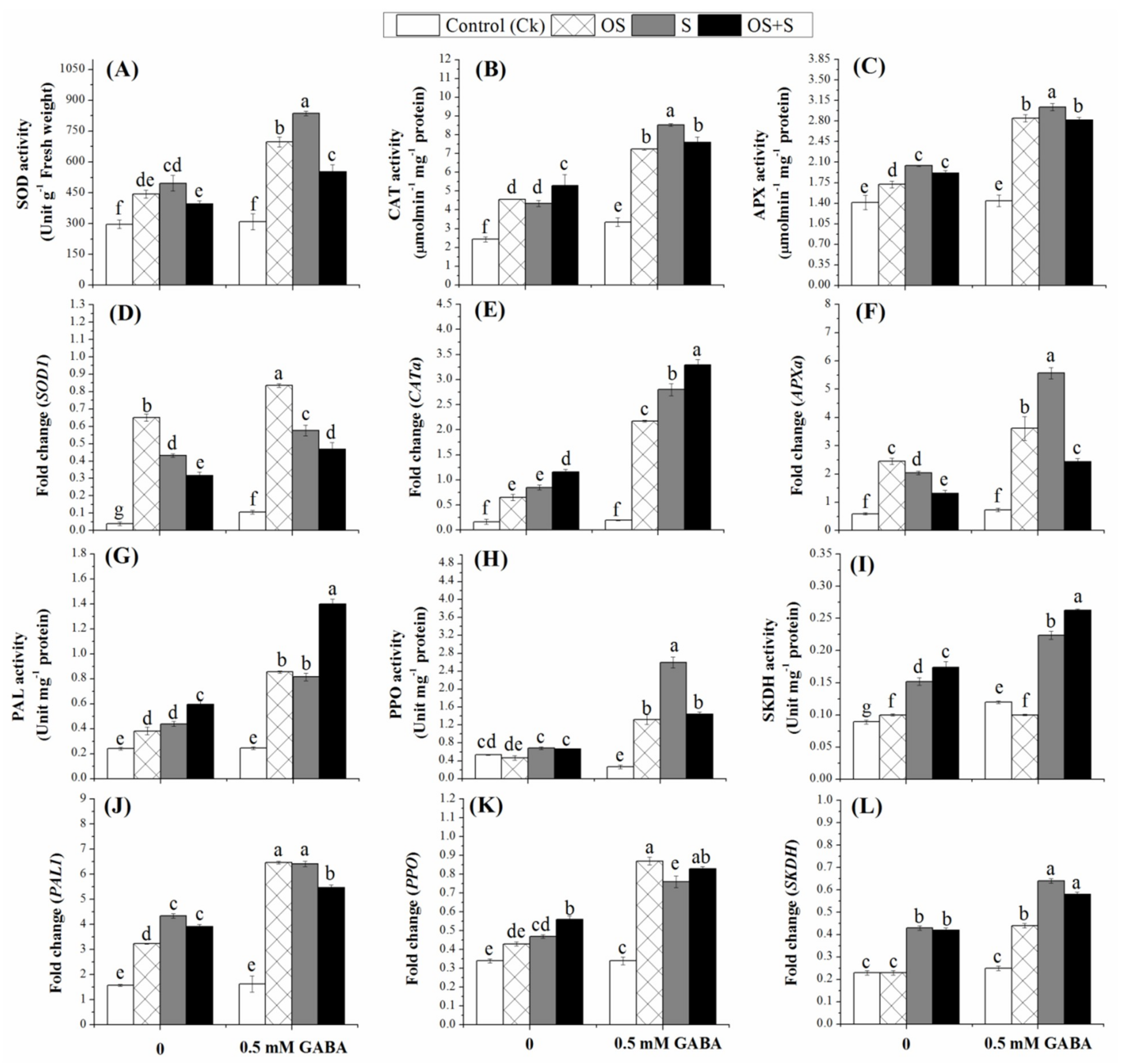 Ijms 20 05709 g003 Ijms 20 05709 g003