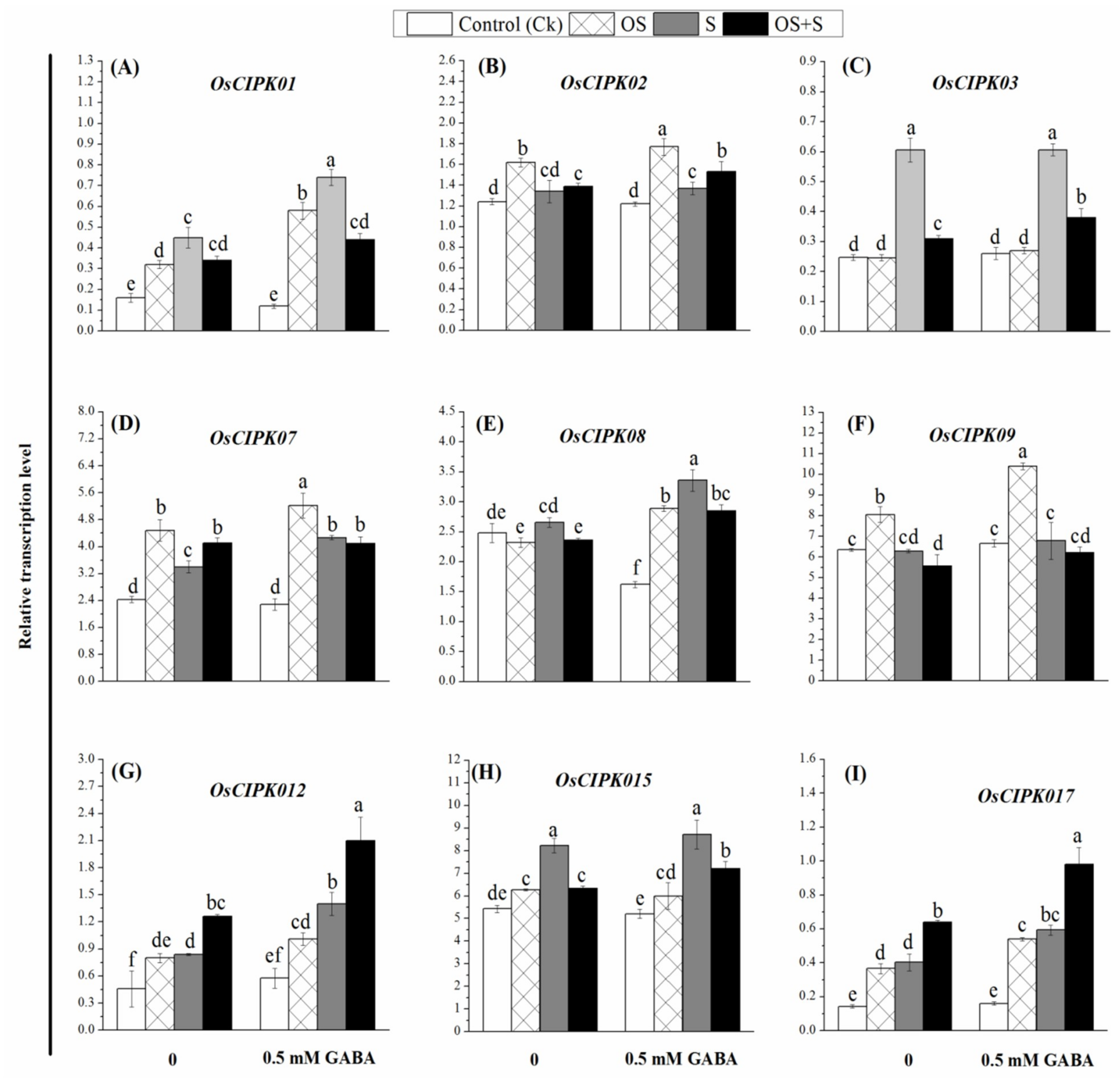 Ijms 20 05709 g005 Ijms 20 05709 g005