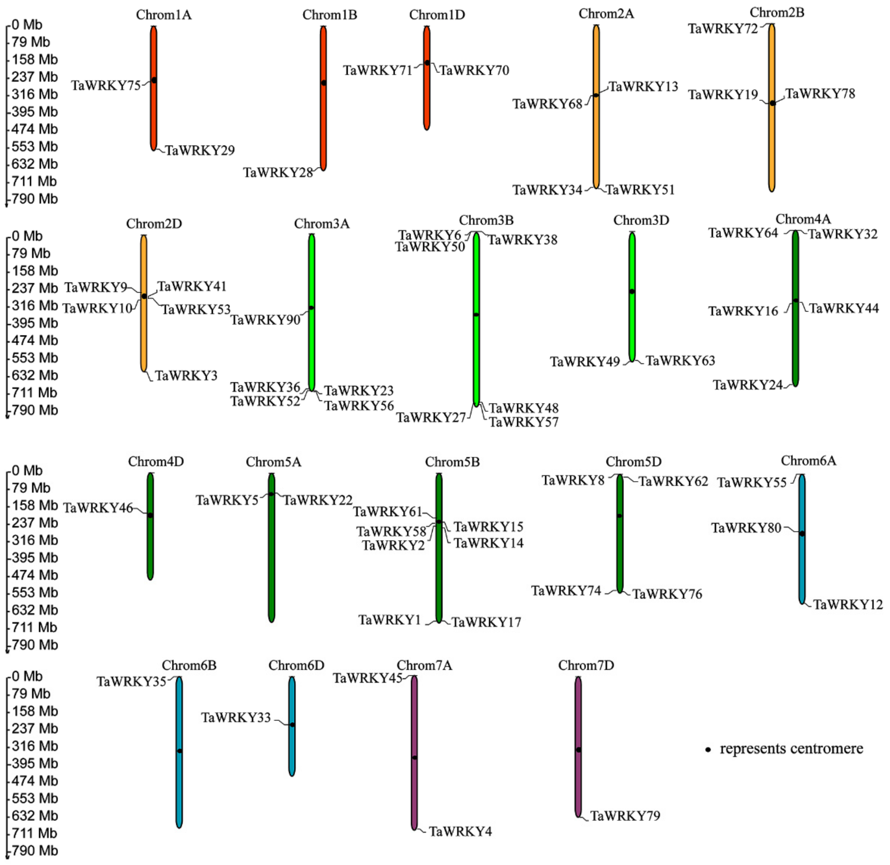 Ijms 20 05712 g001 Ijms 20 05712 g001