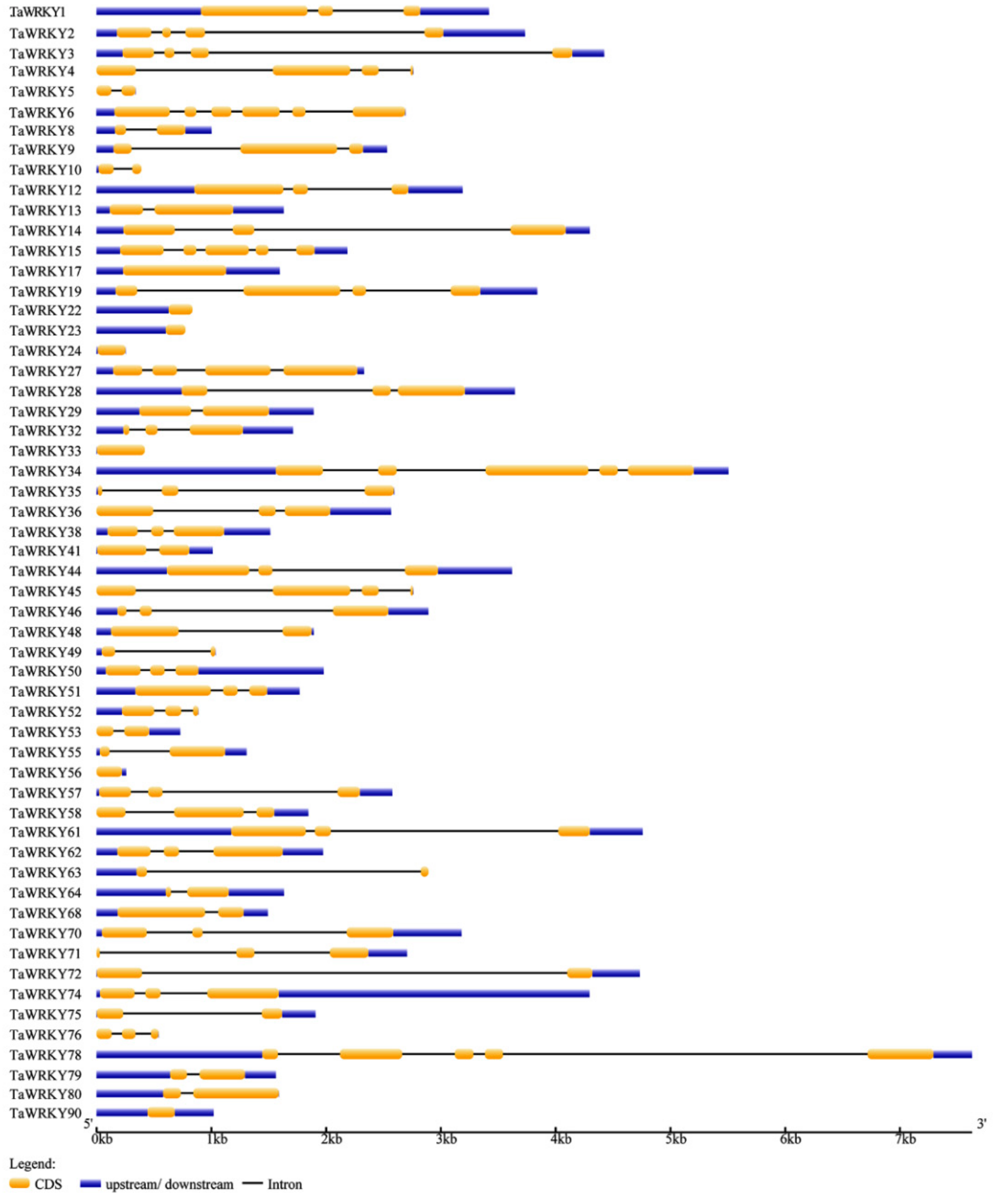 Ijms 20 05712 g002 Ijms 20 05712 g002