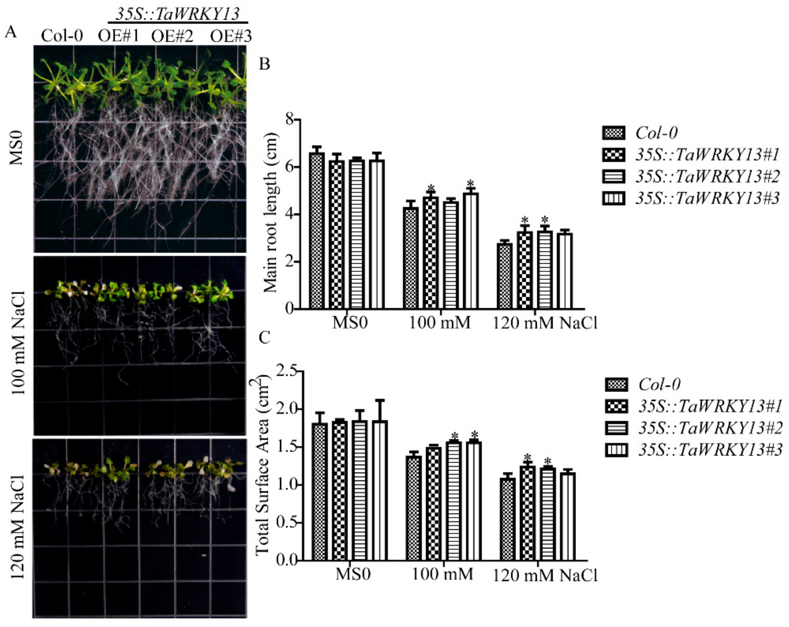 Ijms 20 05712 g008 Ijms 20 05712 g008