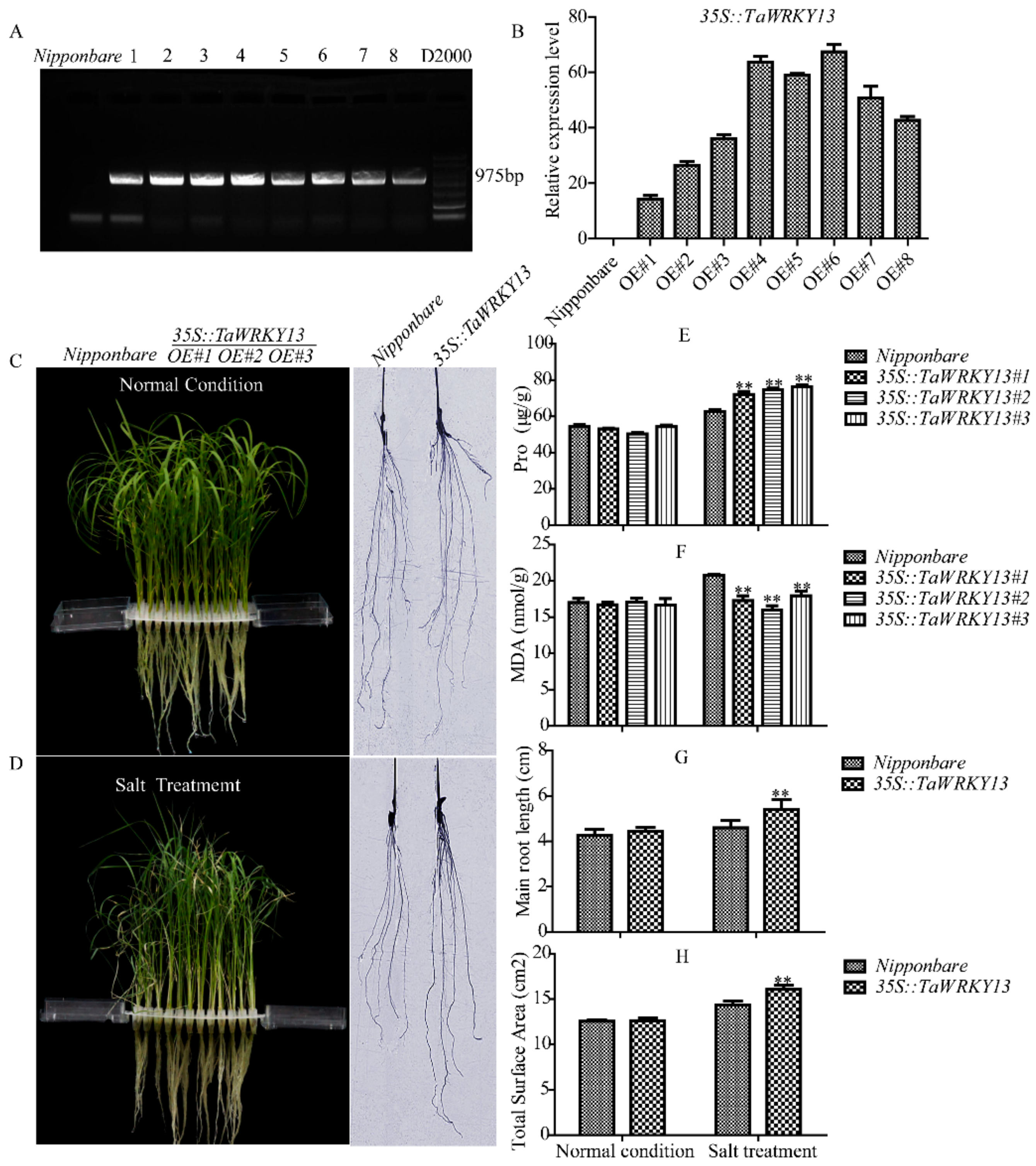 Ijms 20 05712 g009 Ijms 20 05712 g009
