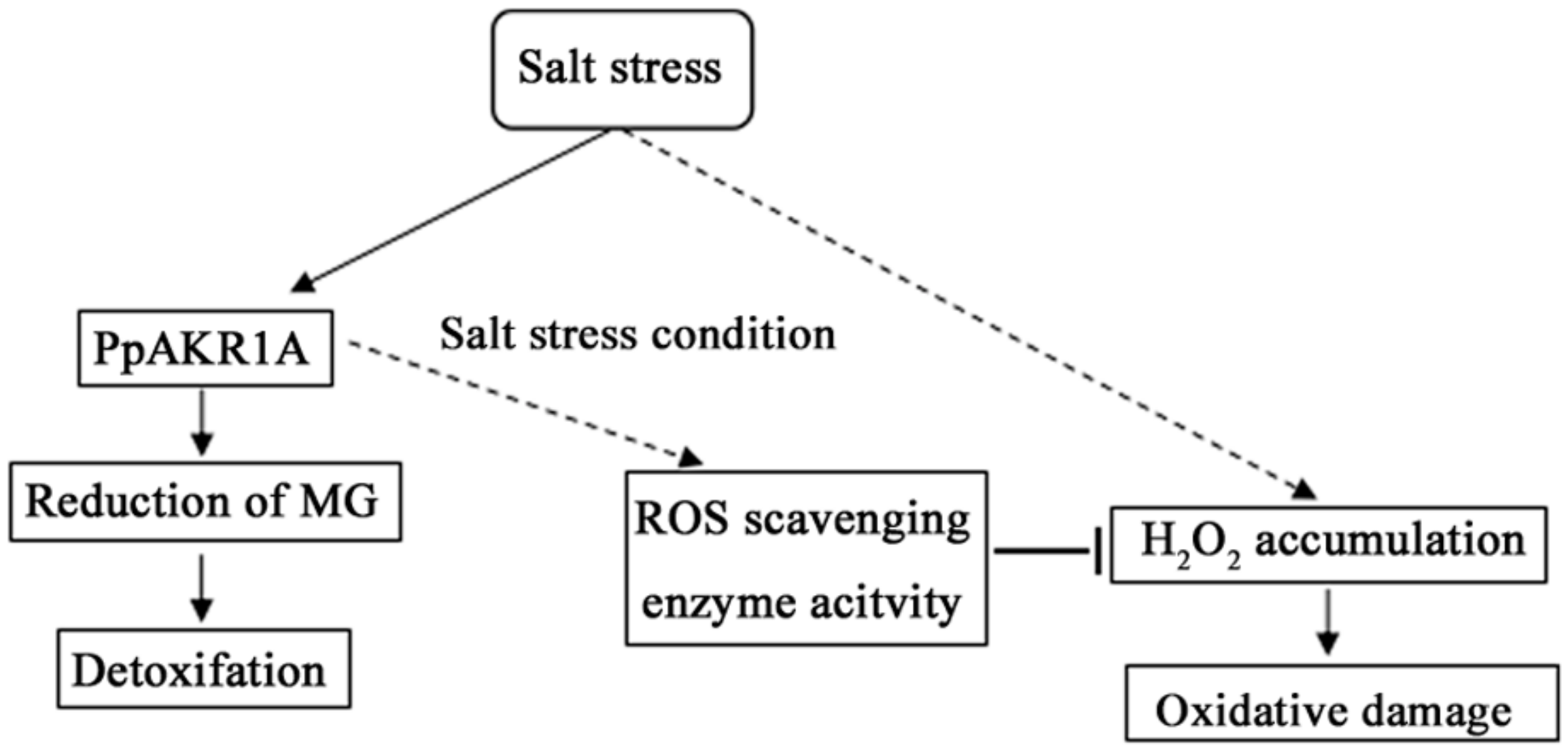 Ijms 20 05723 g007 Ijms 20 05723 g007