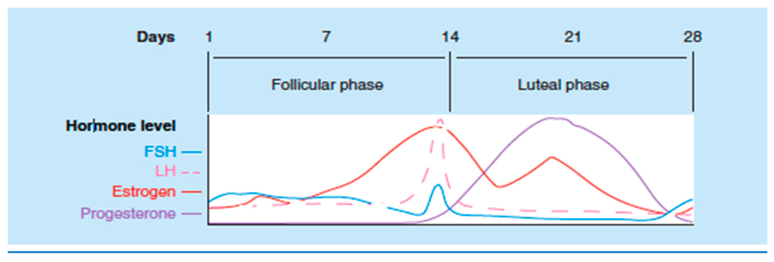 Ijms 20 05729 g002 Ijms 20 05729 g002