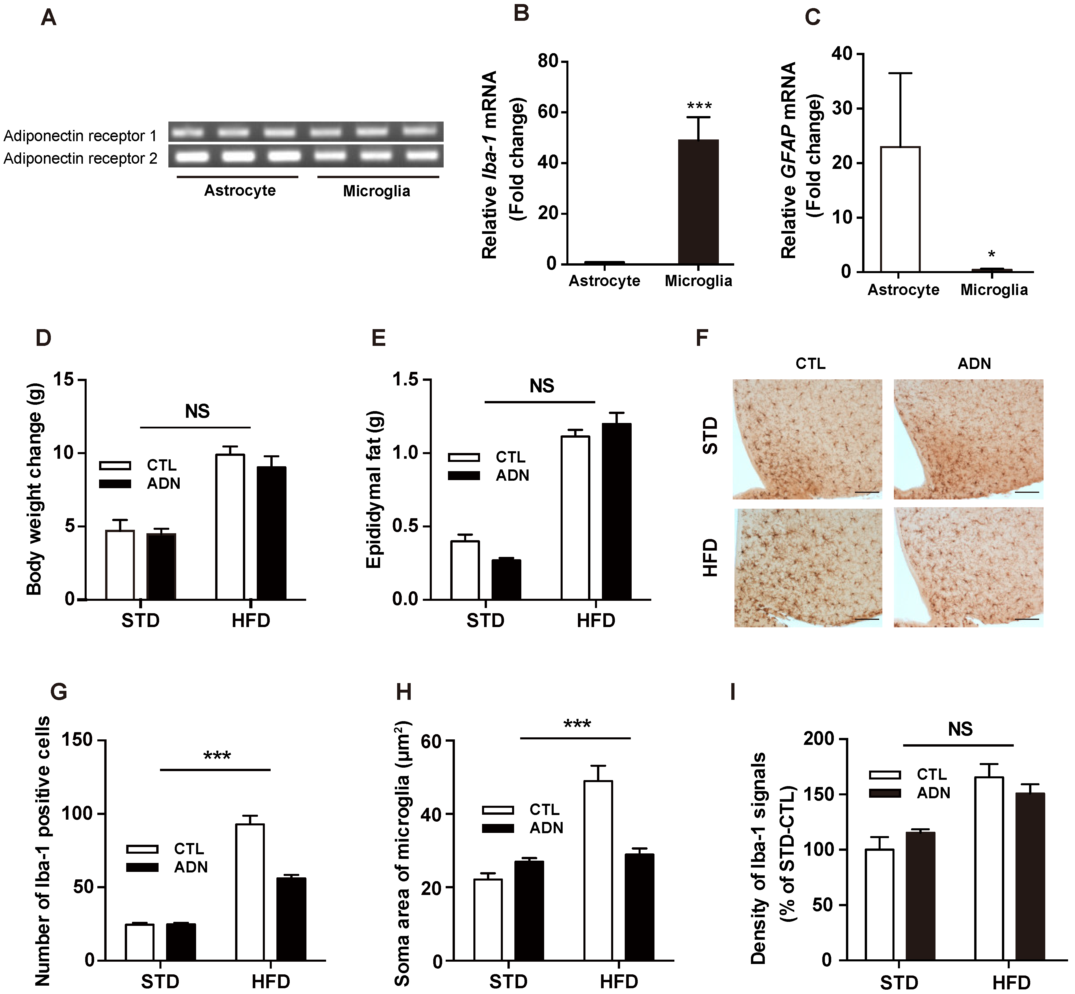 Ijms 20 05738 g002 Ijms 20 05738 g002