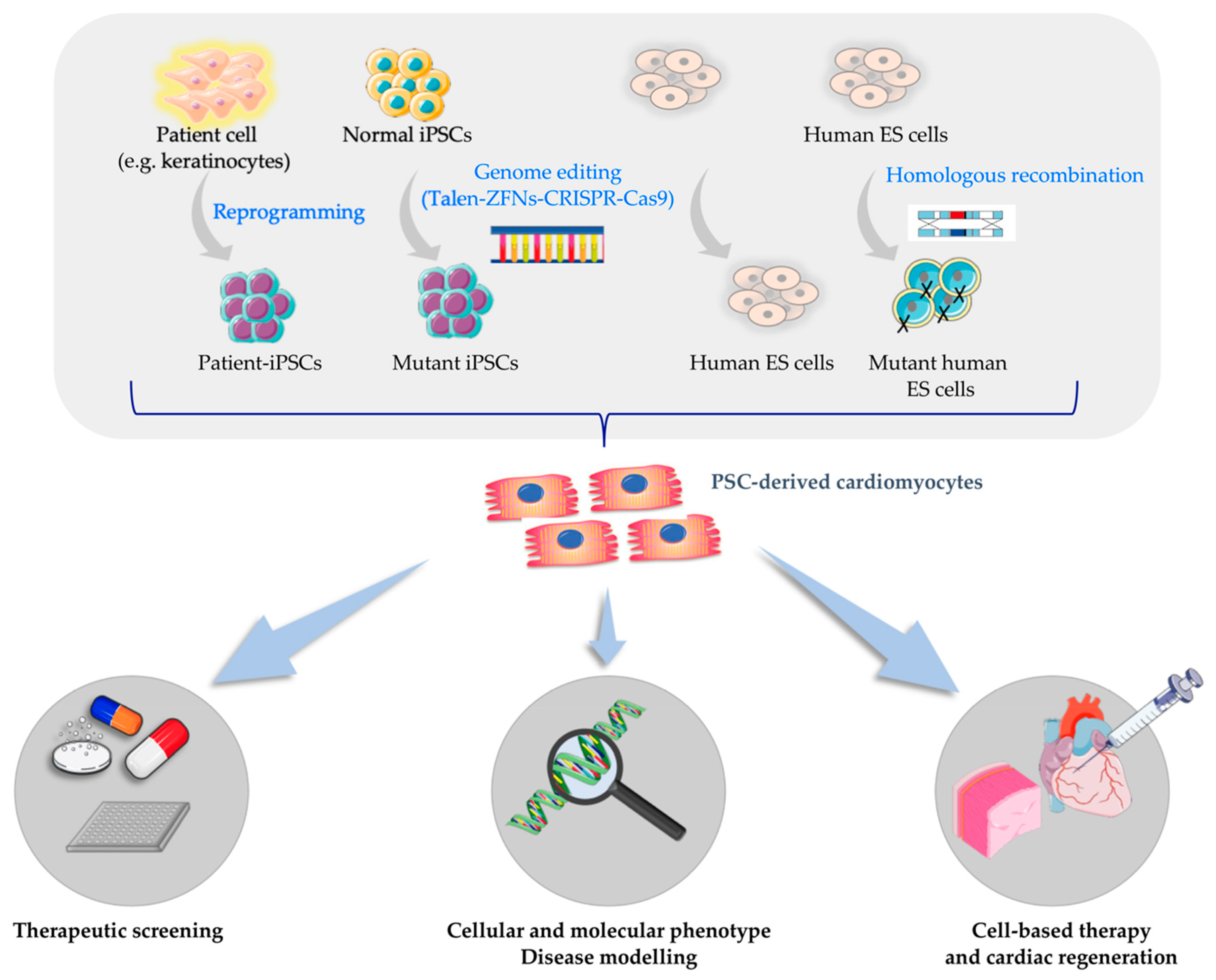 Ijms 20 05760 g002 Ijms 20 05760 g002
