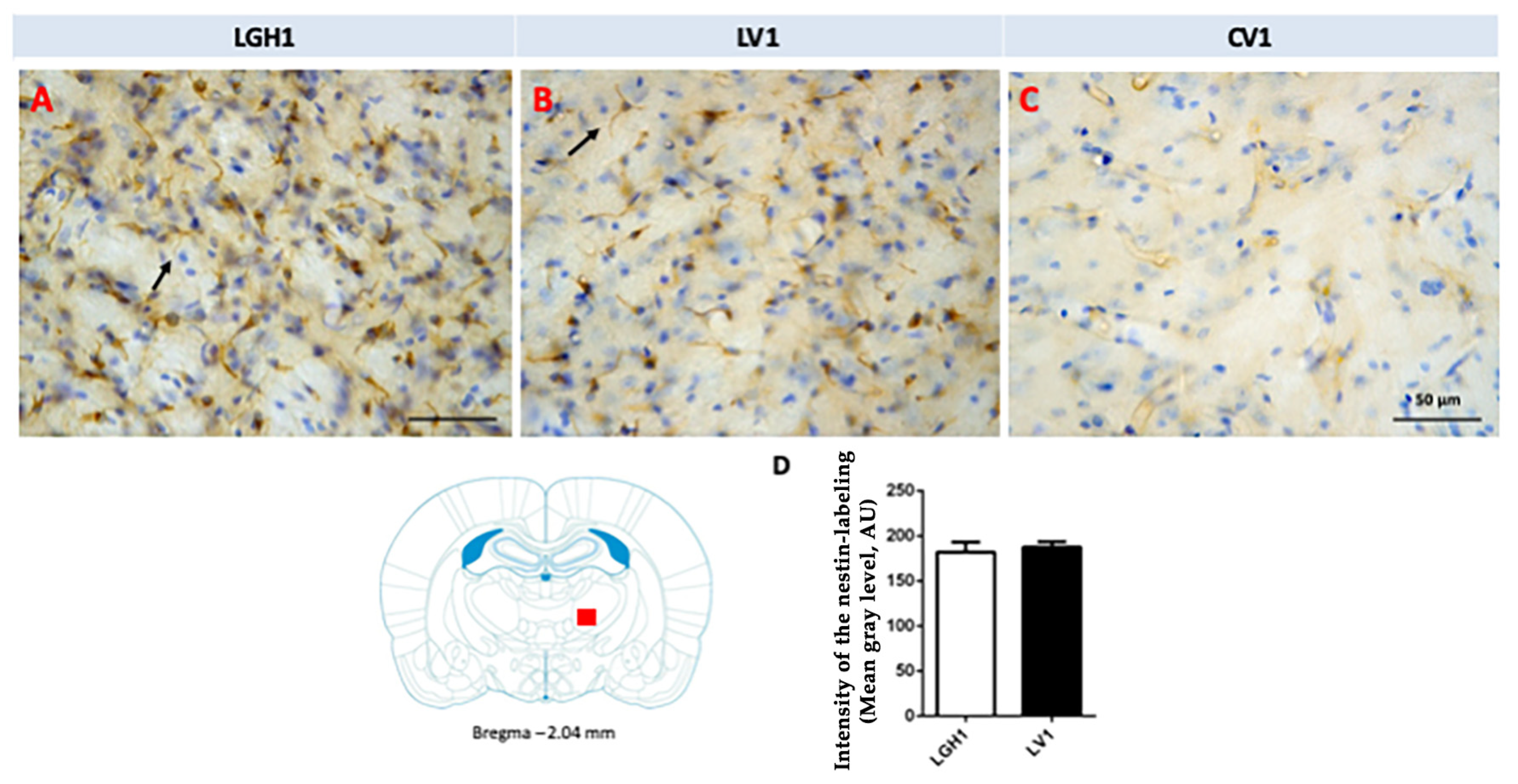 Ijms 20 05770 g007 Ijms 20 05770 g007