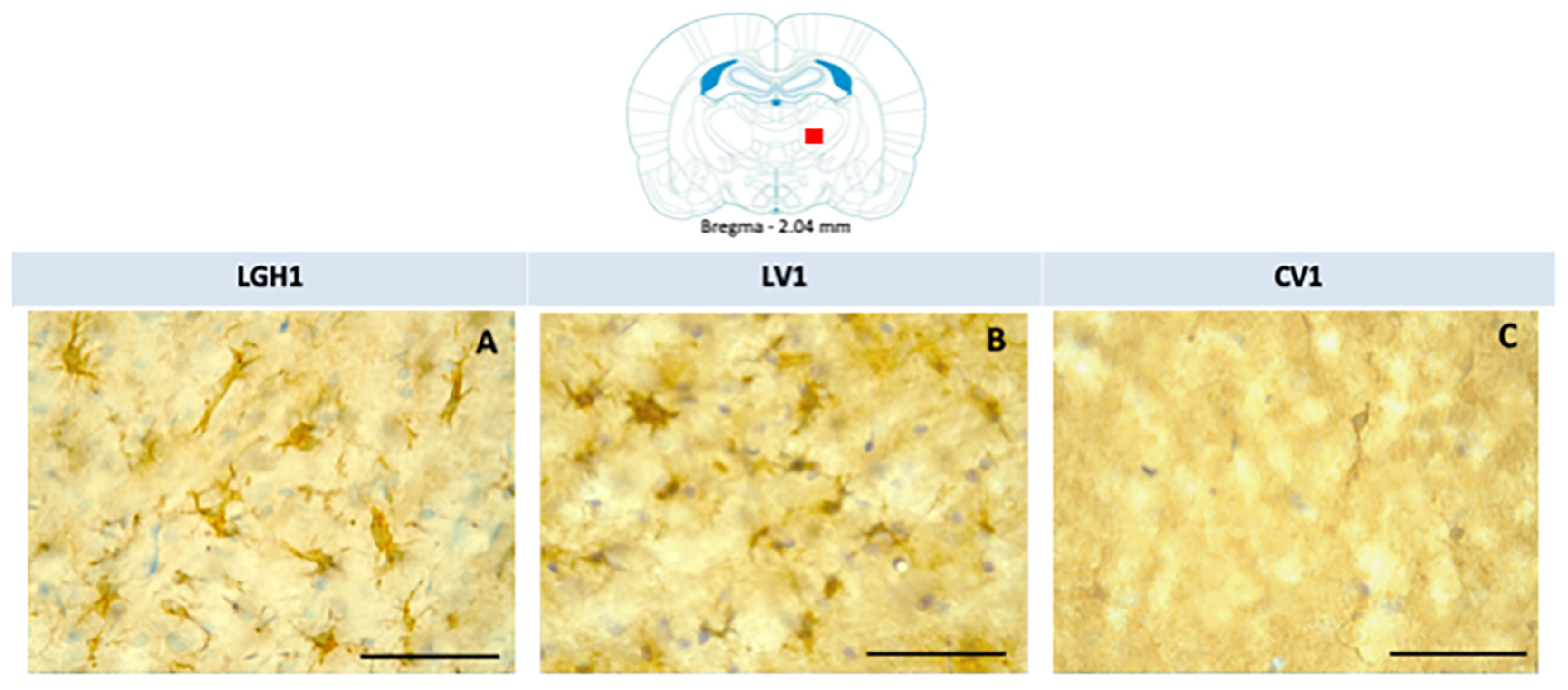 Ijms 20 05770 g009 Ijms 20 05770 g009