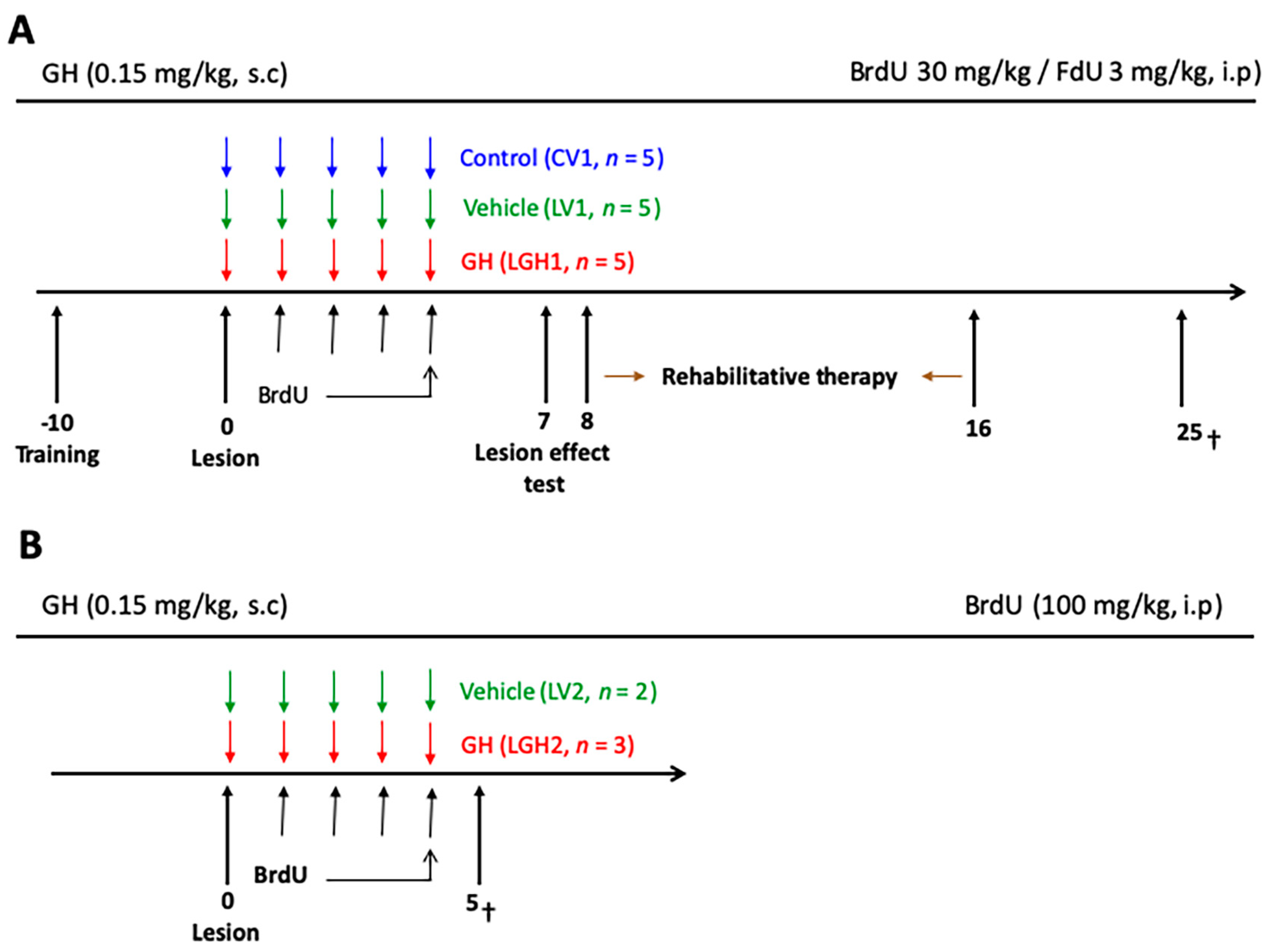 Ijms 20 05770 g011 Ijms 20 05770 g011