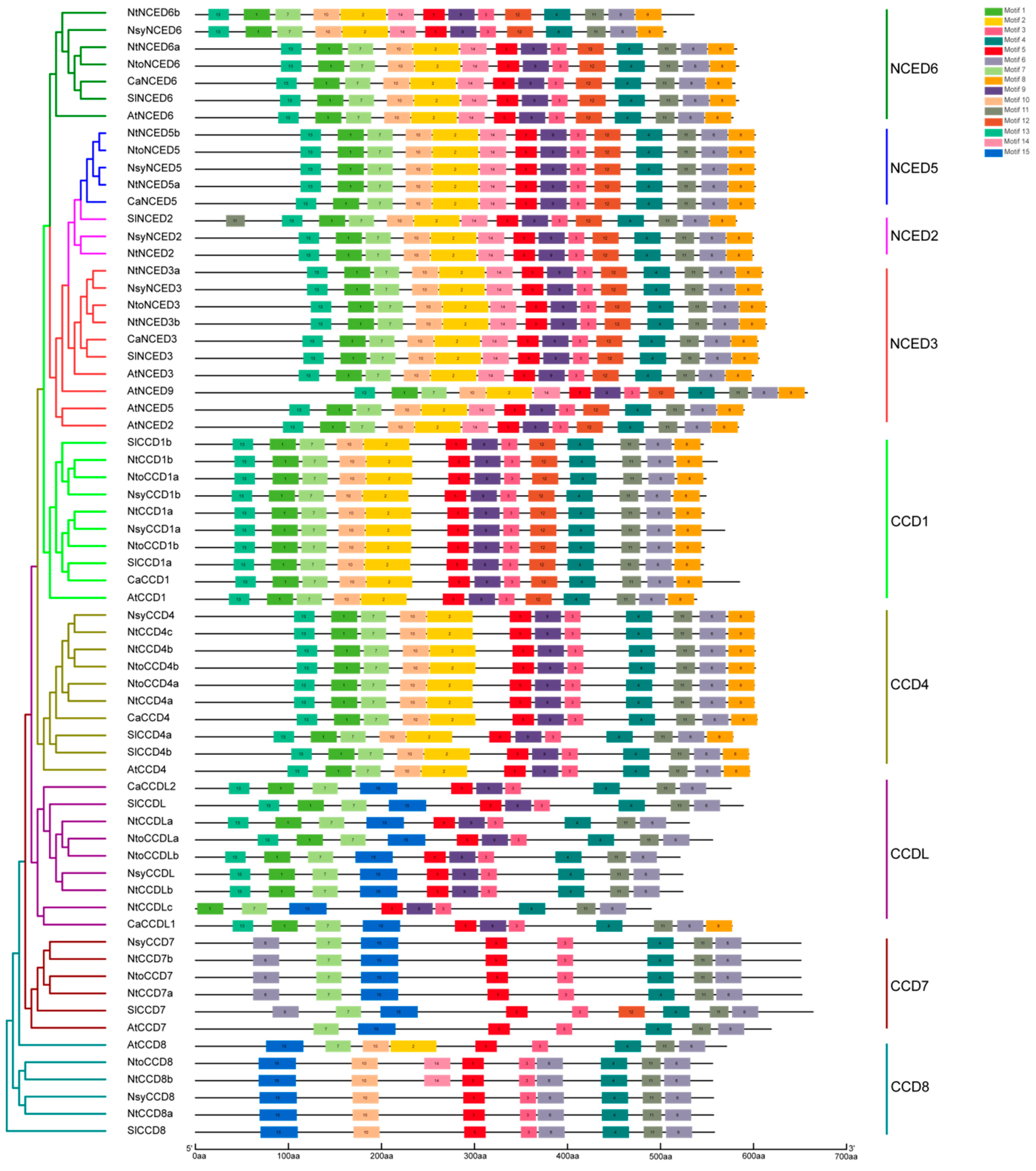 Ijms 20 05796 g003 Ijms 20 05796 g003