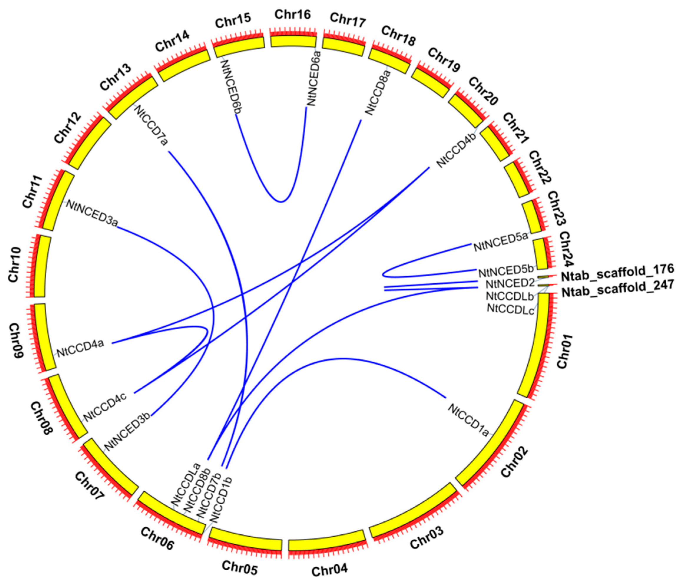 Ijms 20 05796 g006 Ijms 20 05796 g006