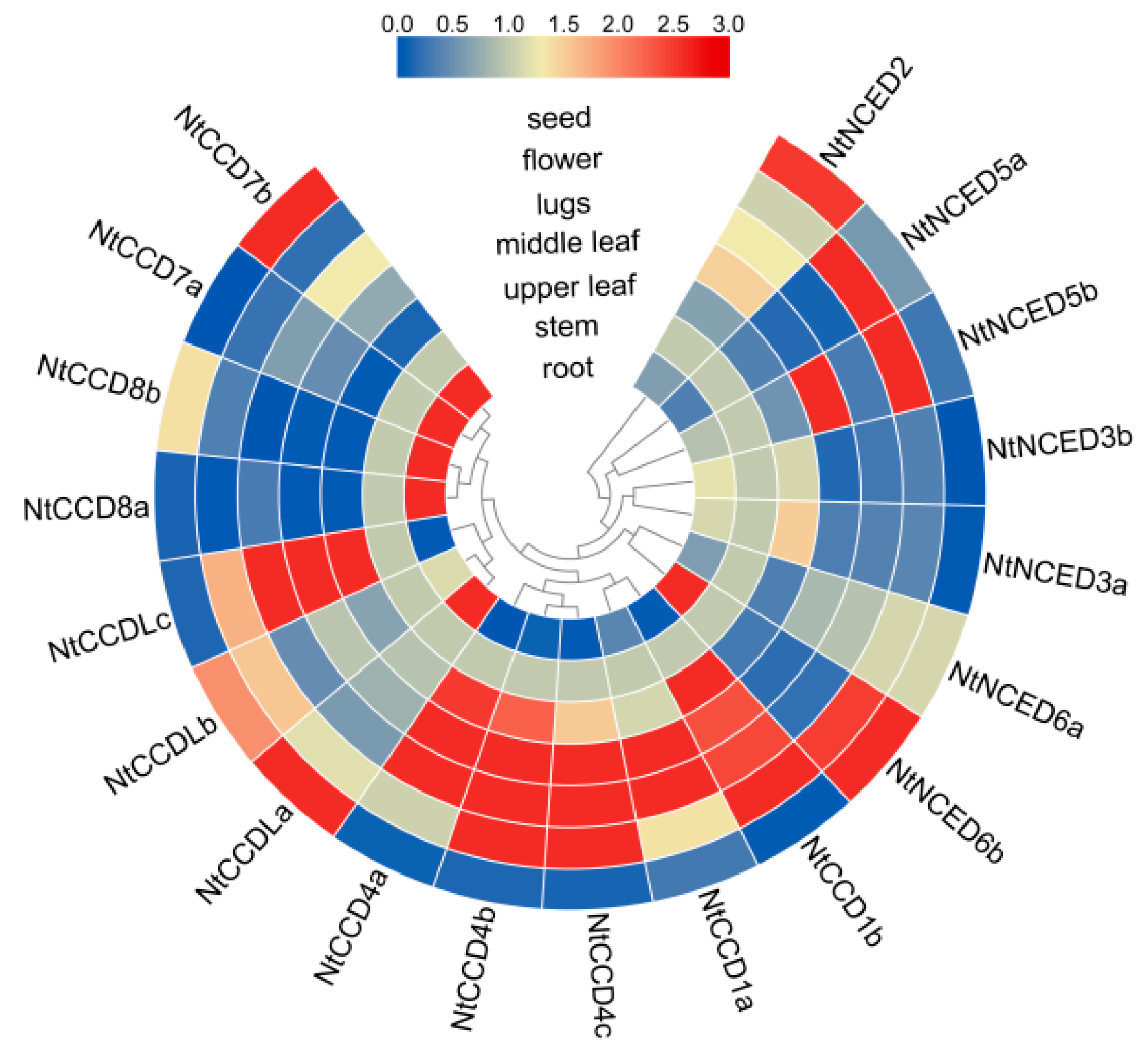 Ijms 20 05796 g009 Ijms 20 05796 g009