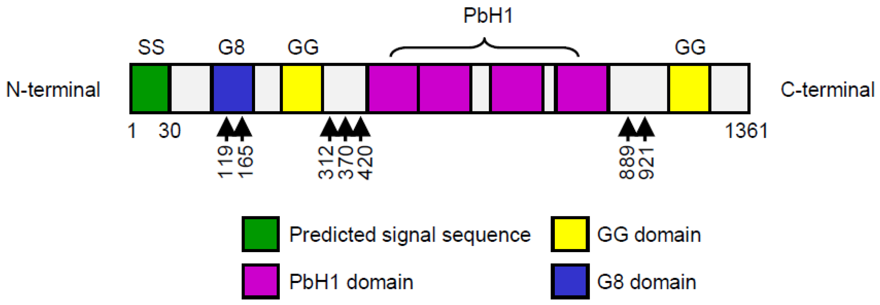 IJMS | Free Full-Text | Role of HYBID (Hyaluronan Binding Protein ...