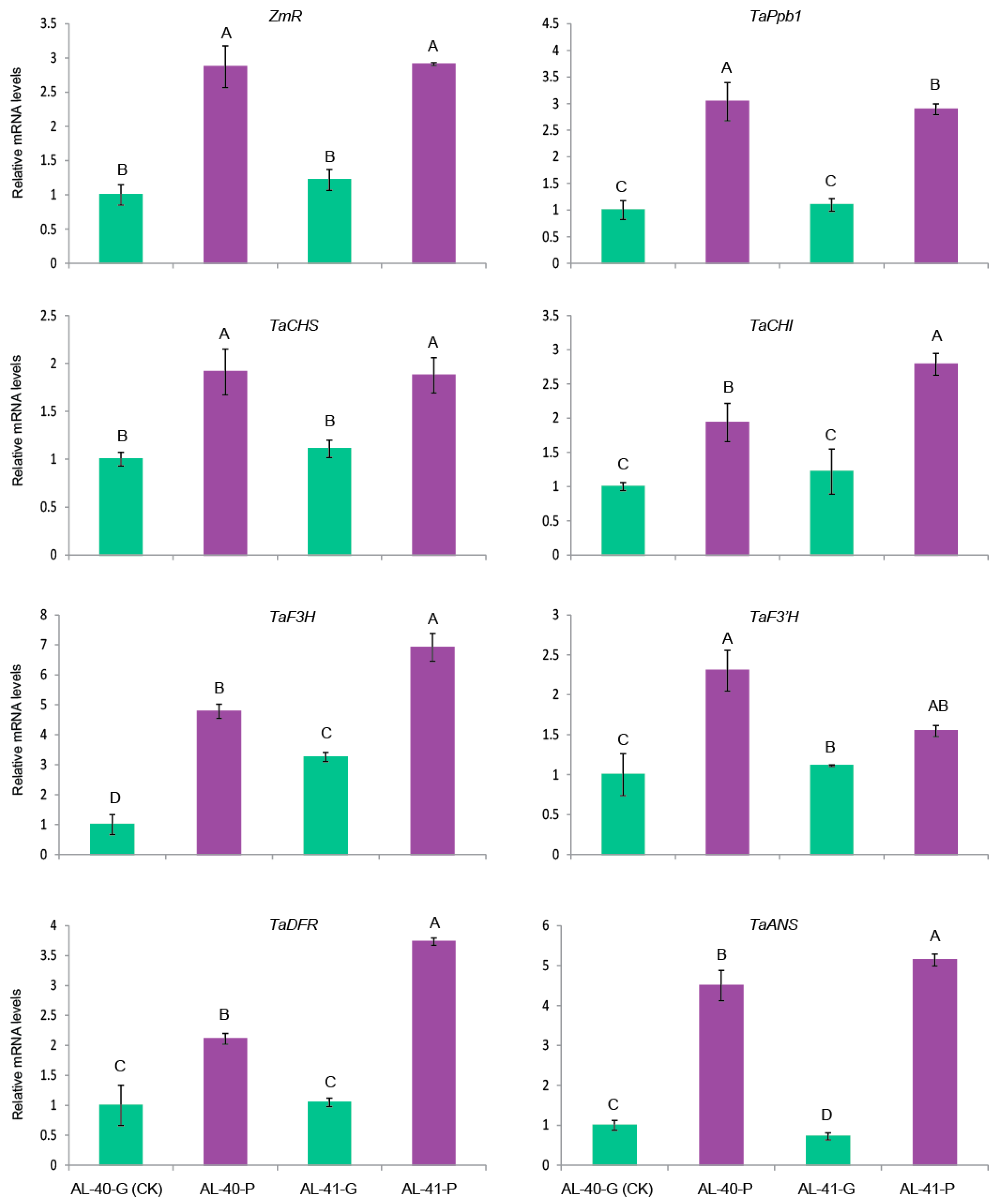 Ijms 20 05806 g009 Ijms 20 05806 g009