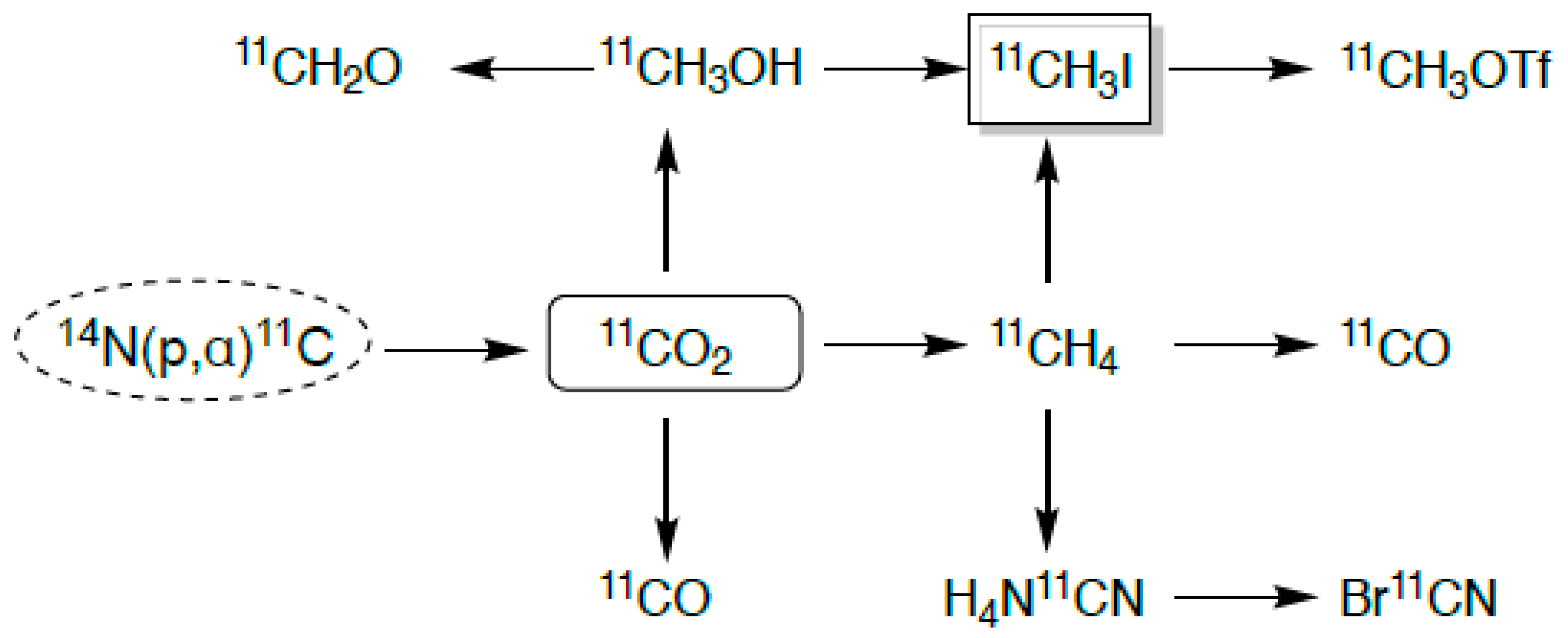 Ijms 20 05808 g002 Ijms 20 05808 g002