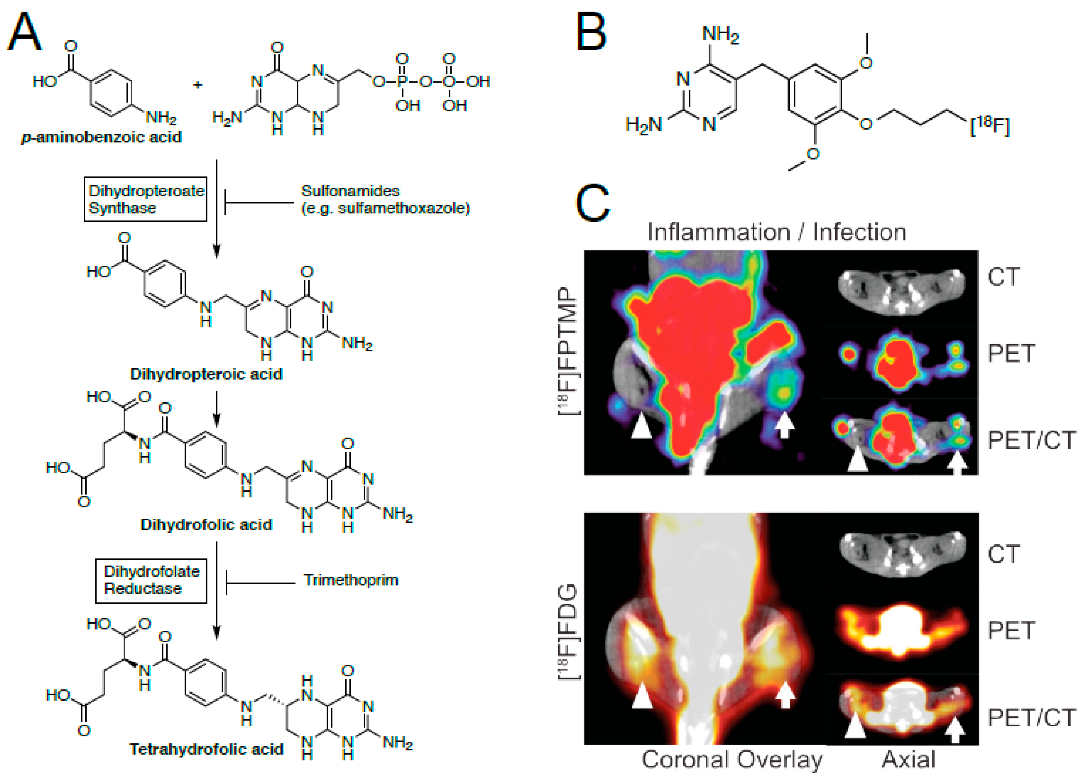 Ijms 20 05808 g006 Ijms 20 05808 g006