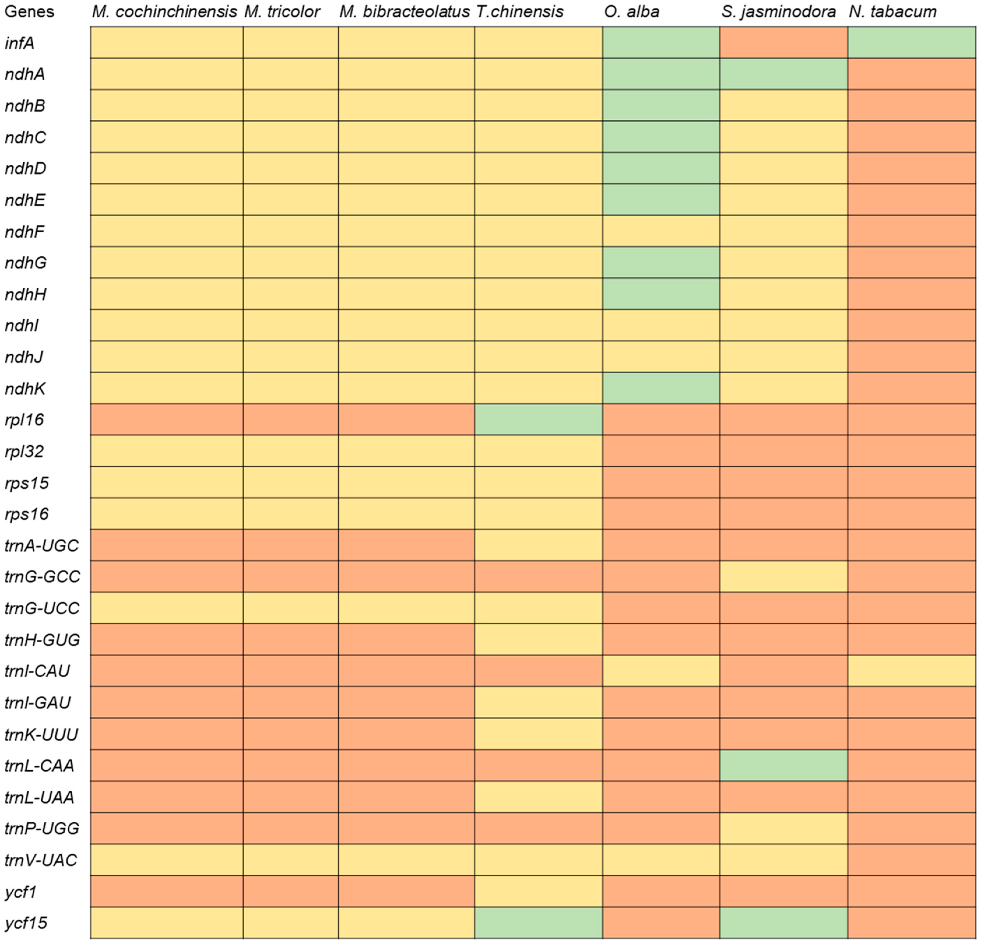 IJMS | Free Full-Text | Gene Losses and Variations in Chloroplast