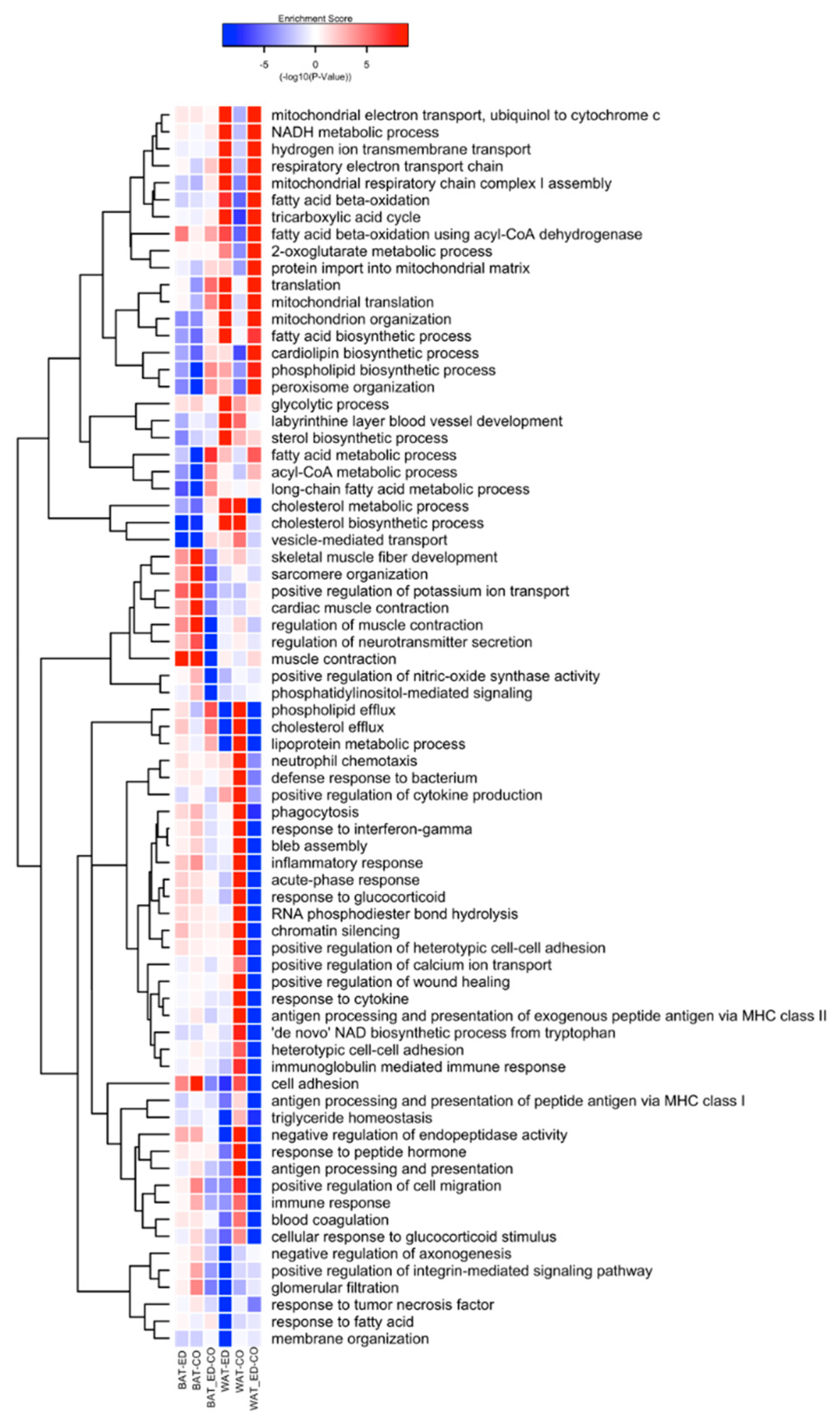 Ijms 20 05895 g006 Ijms 20 05895 g006