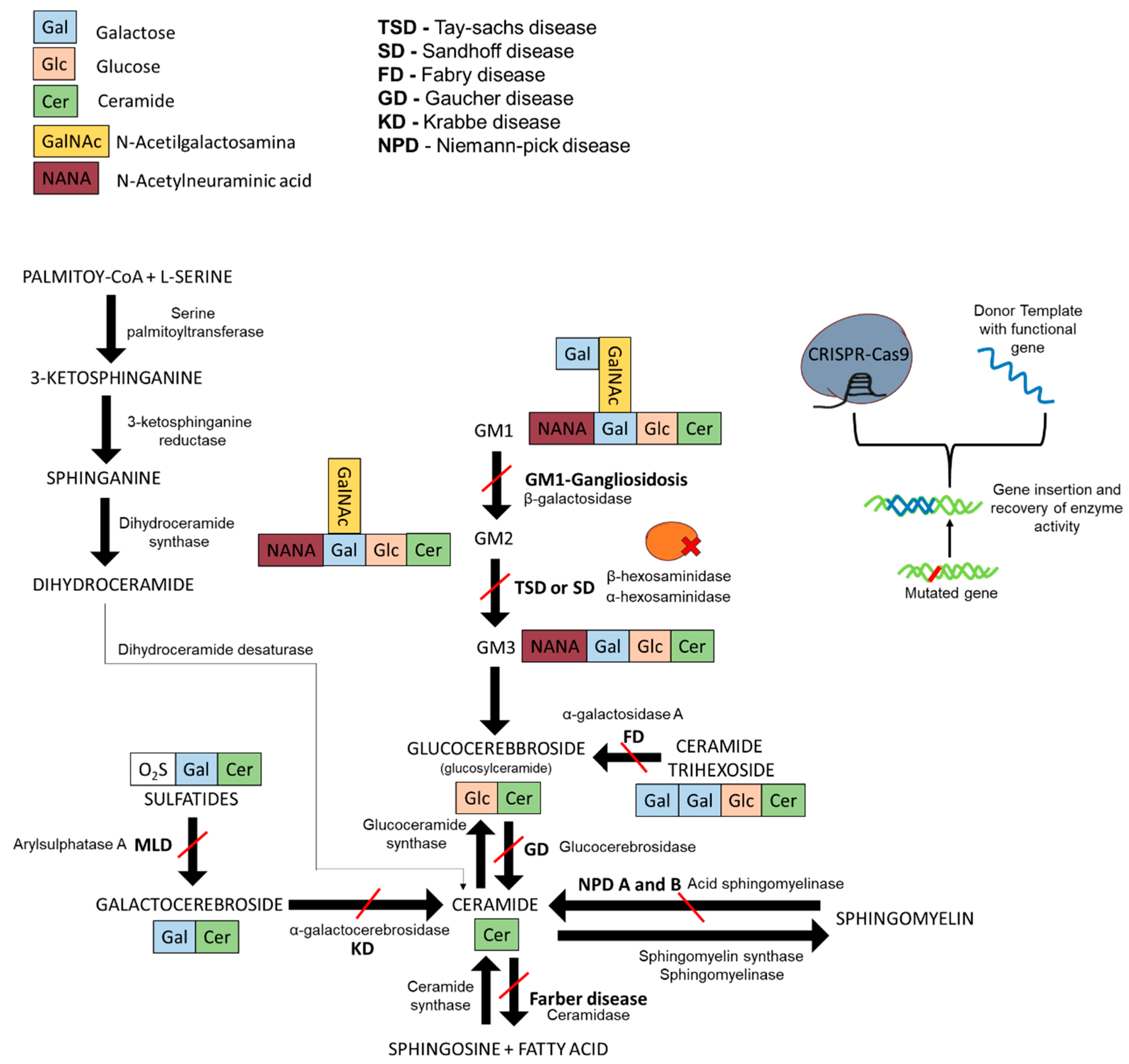Ijms 20 05897 g001 Ijms 20 05897 g001