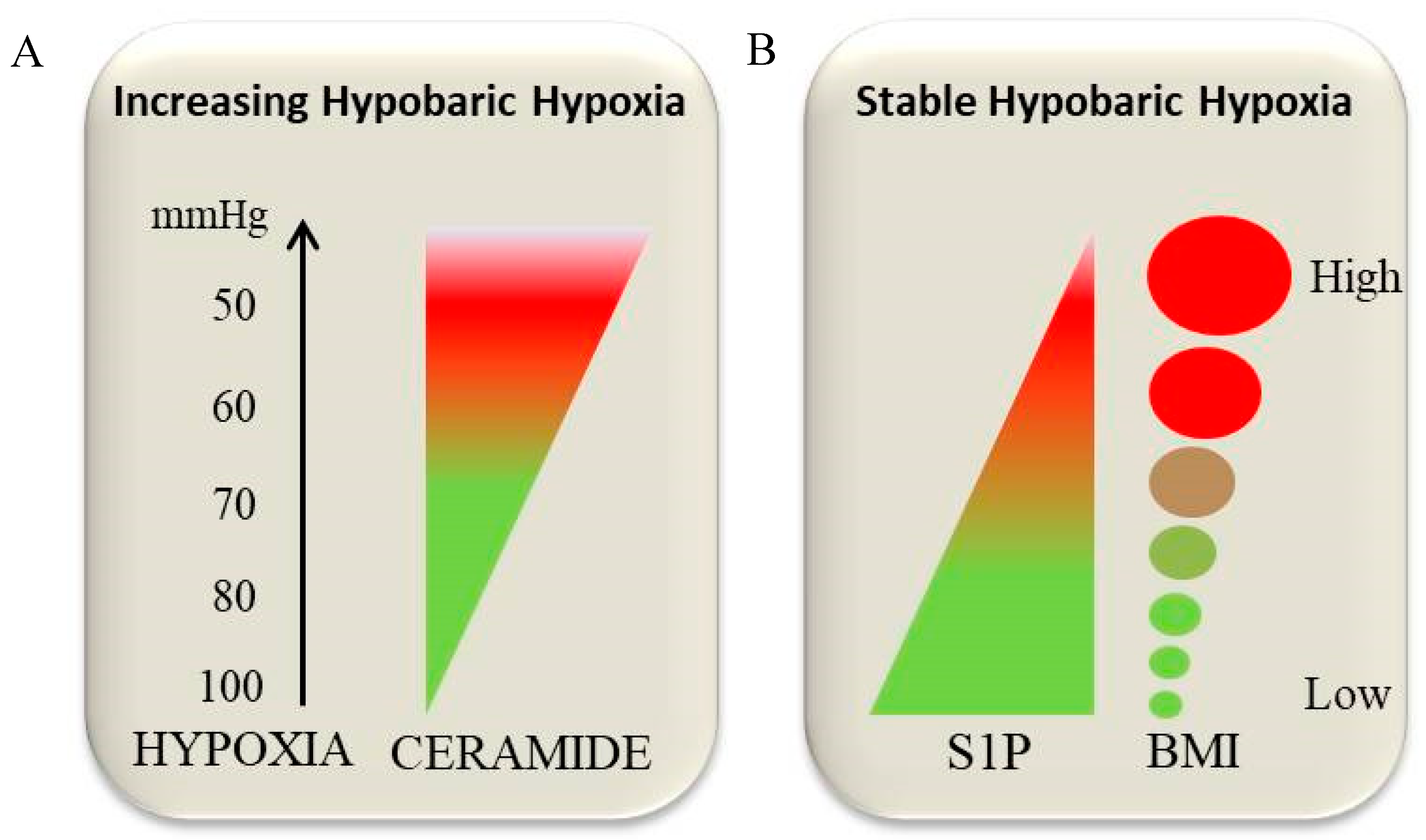 Ijms 20 05901 g003 Ijms 20 05901 g003