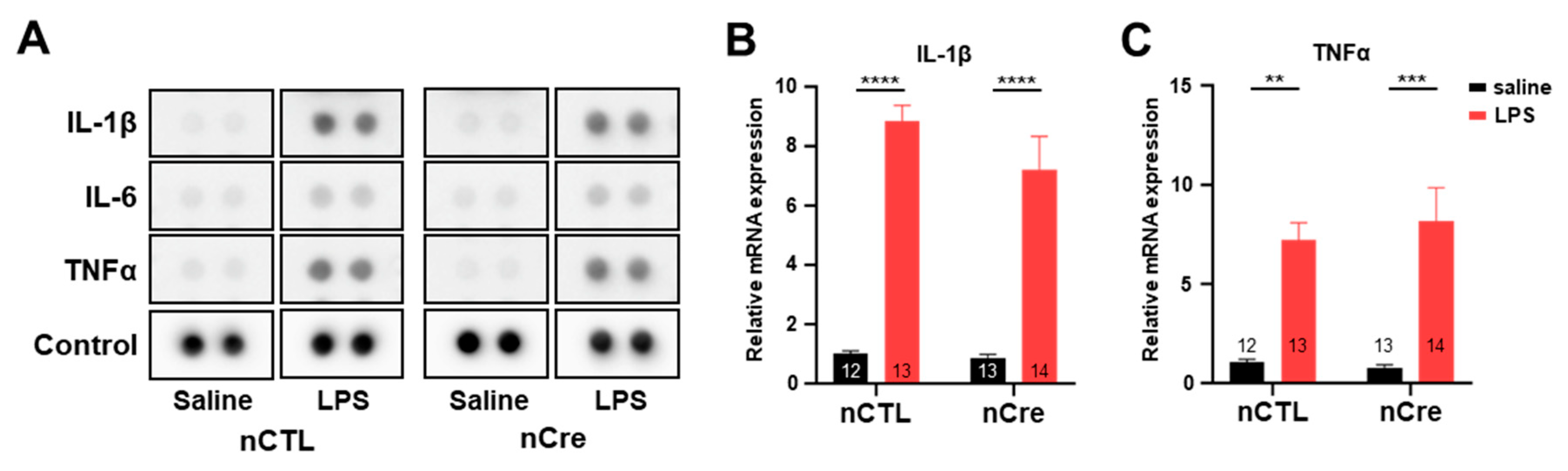 Ijms 20 05902 g005 Ijms 20 05902 g005