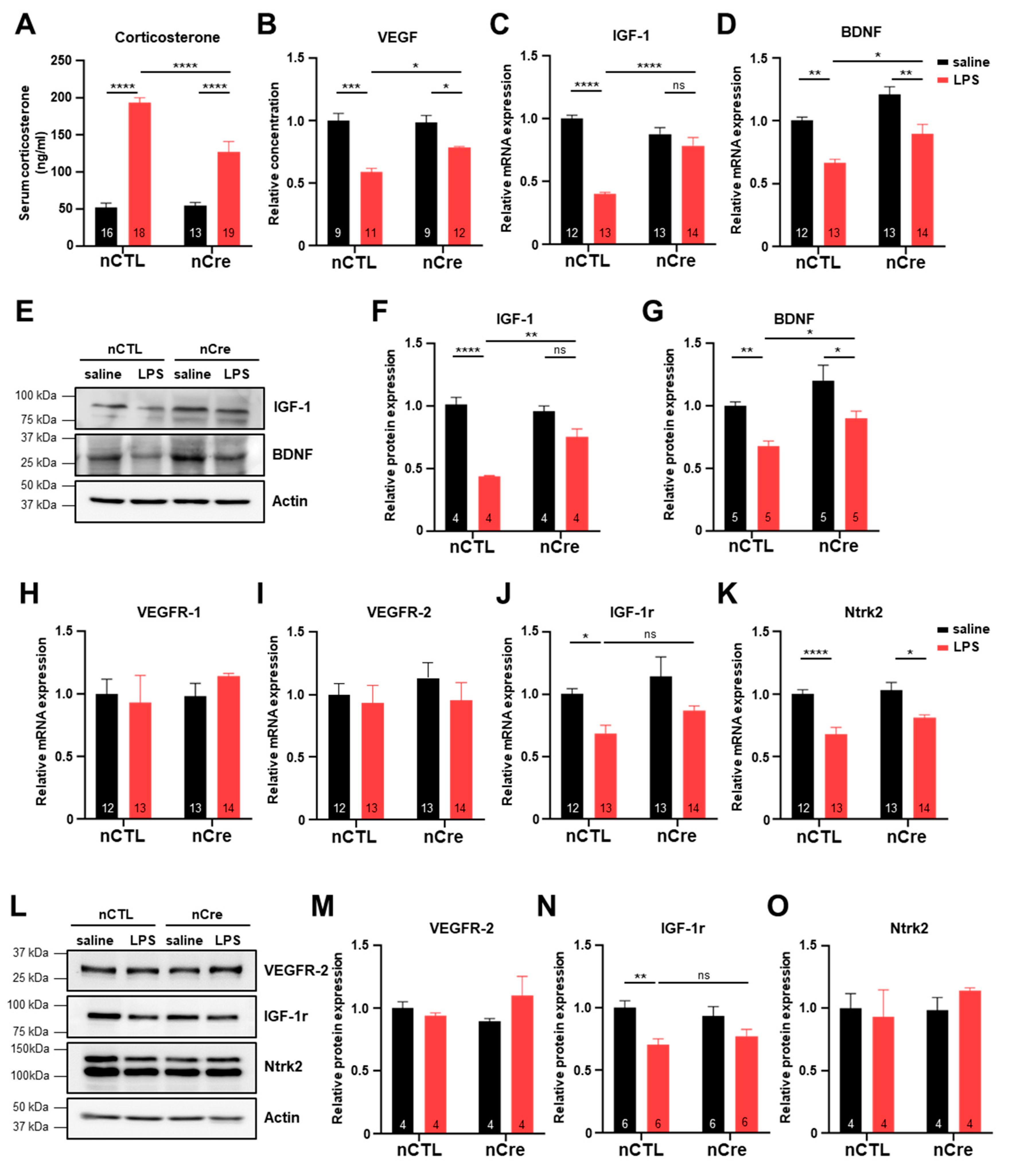 Ijms 20 05902 g006 Ijms 20 05902 g006